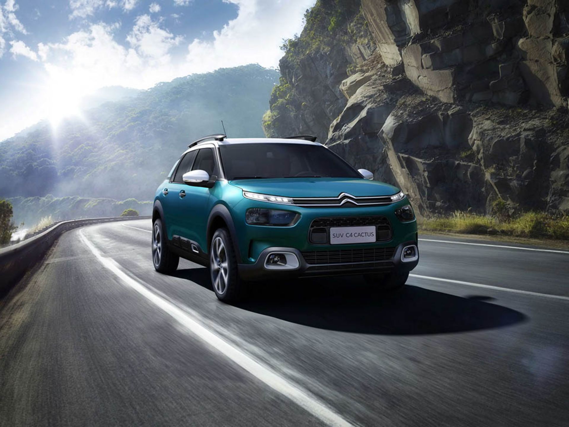 C4 CACTUS_02