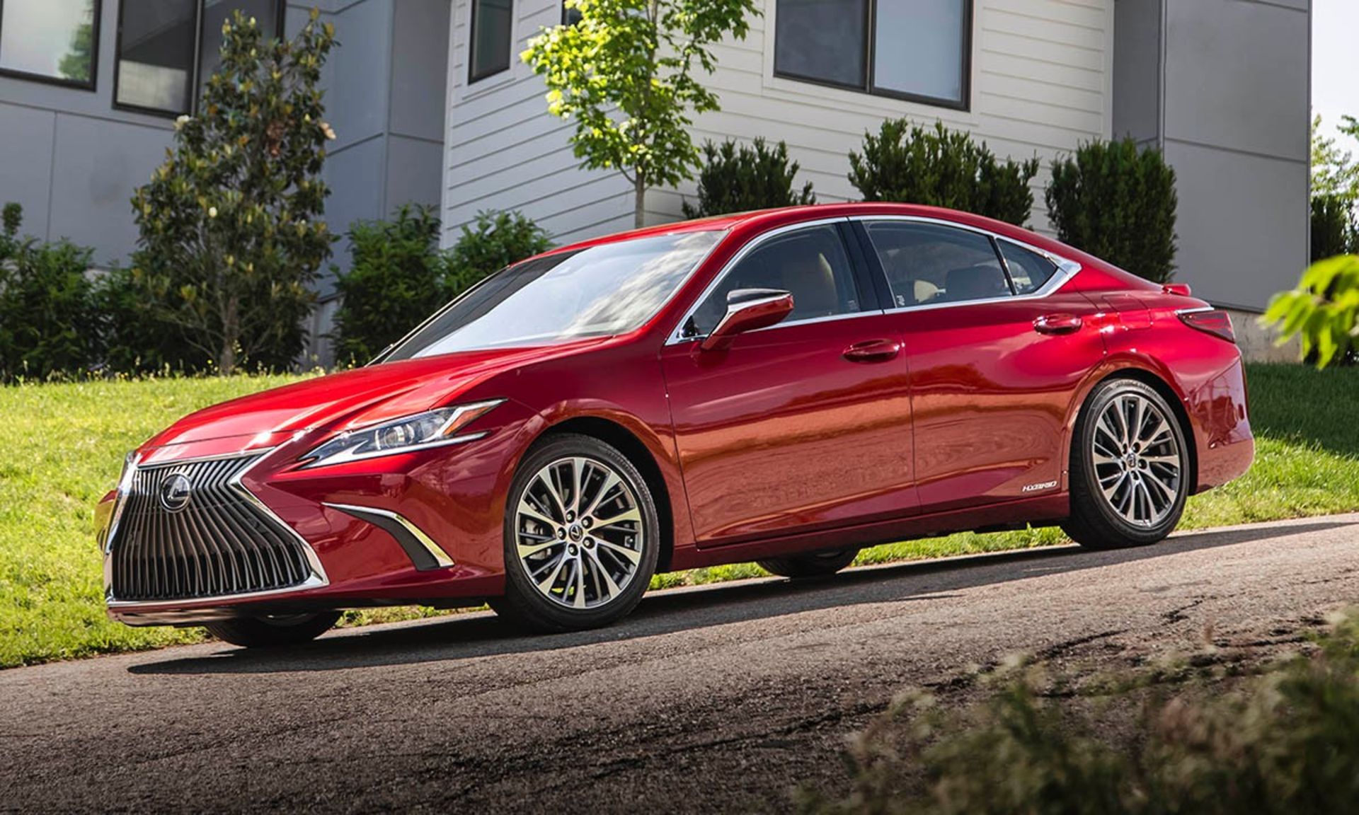 2019 Lexus ES300h 2