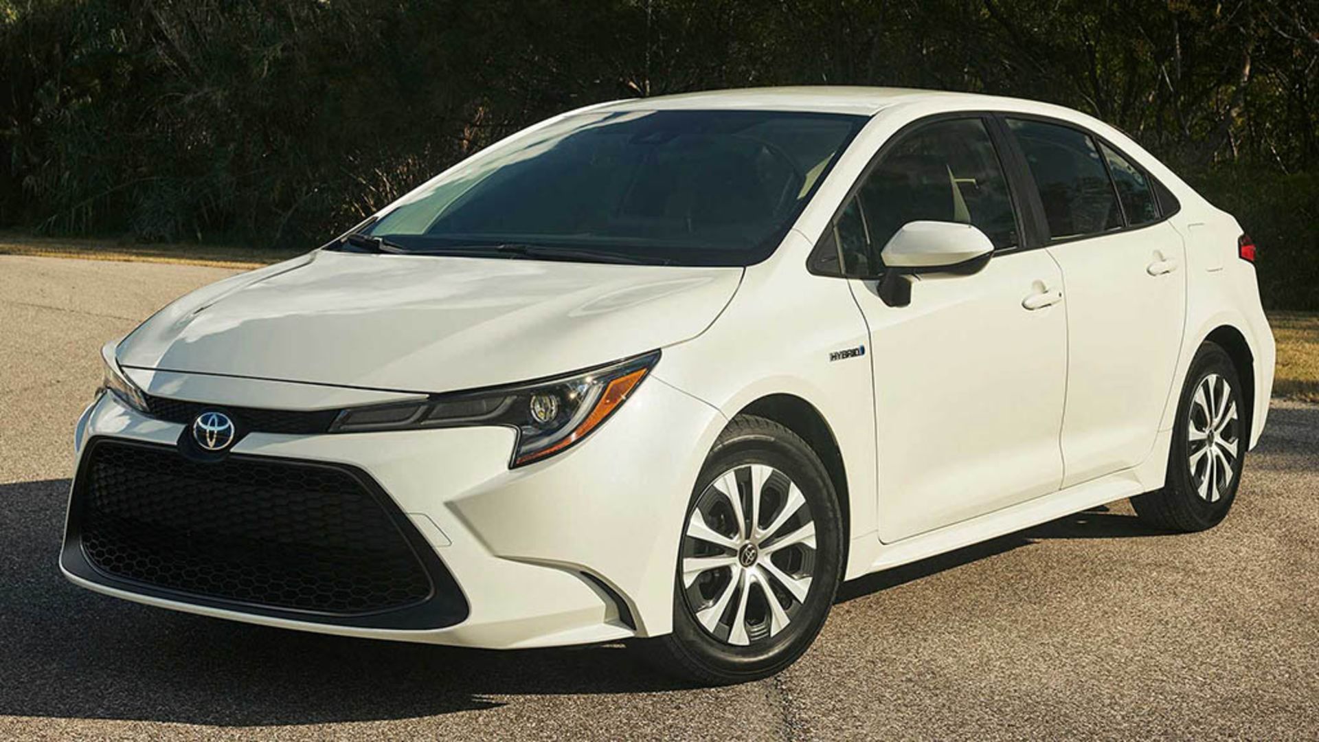 2020-toyota-corolla-hybrid5