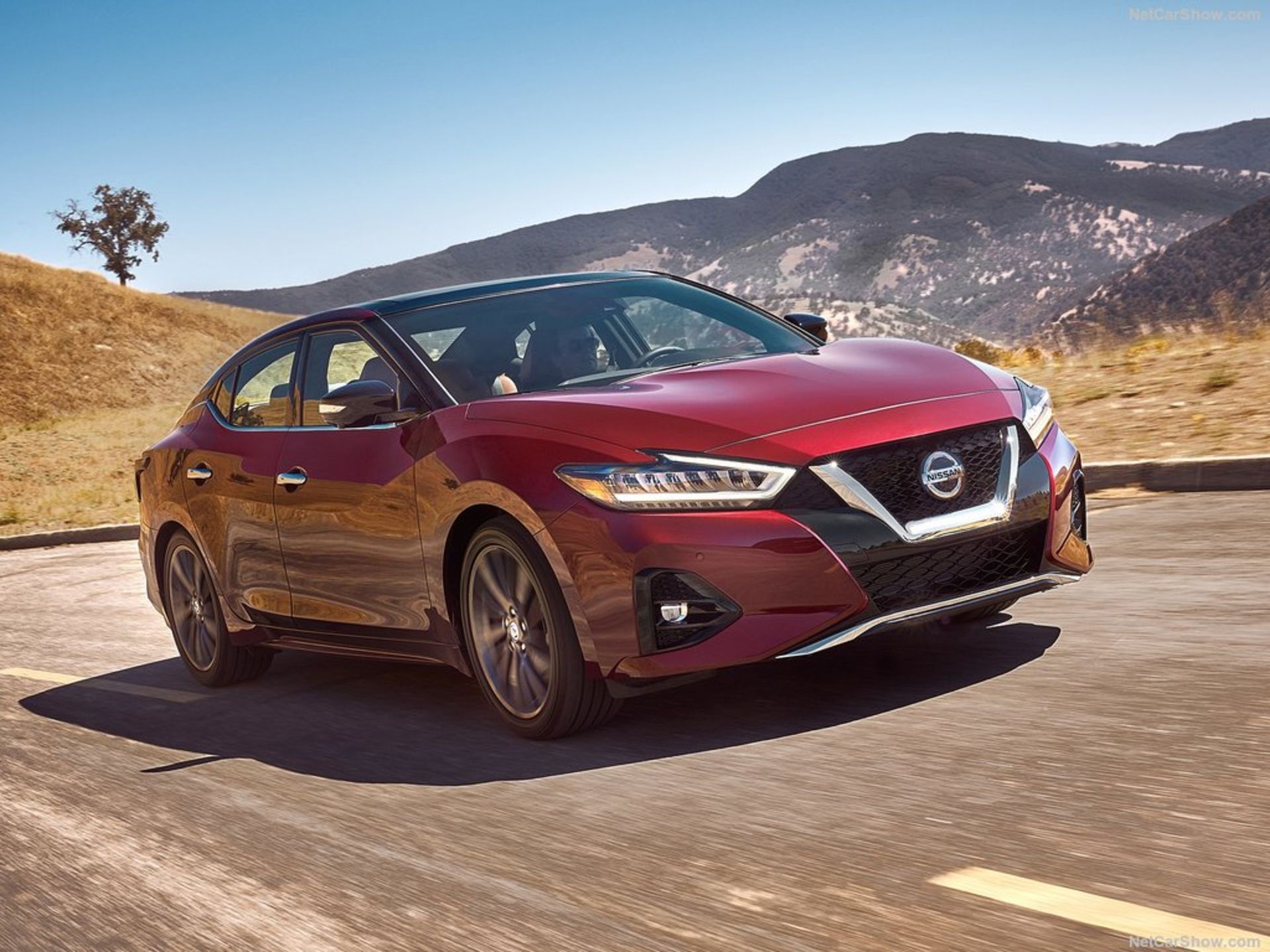 Nissan-Maxima-2019-1024-0b