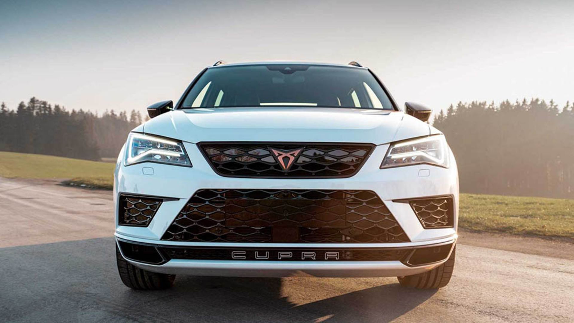 cupra-ateca