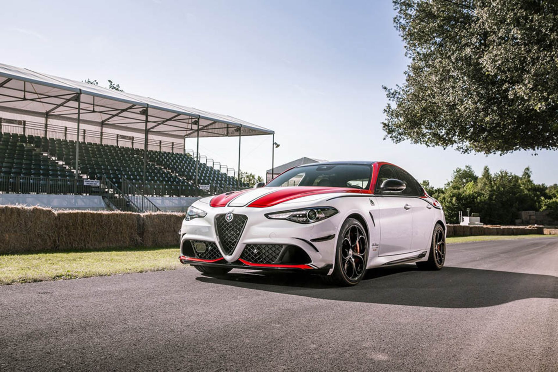 2019-alfa-romeo-giulia-stelvio-quadrifoglio-racing-limited-edition-1