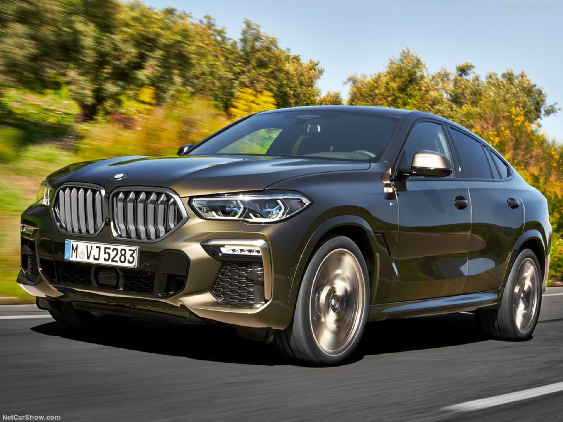 BMW-X6_M50i-2020-1024-09