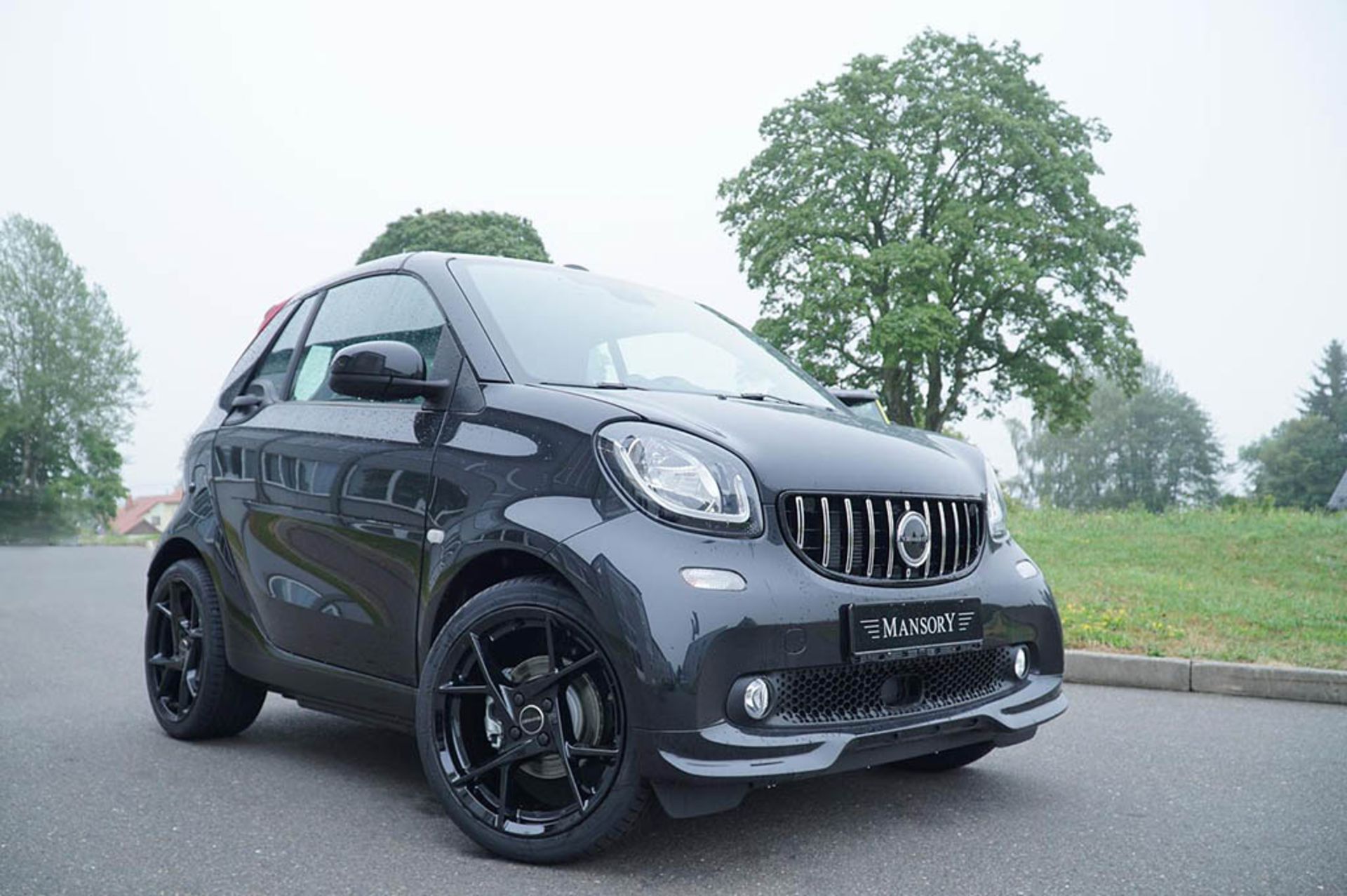 mansory-smart-fortwo-tuning-7