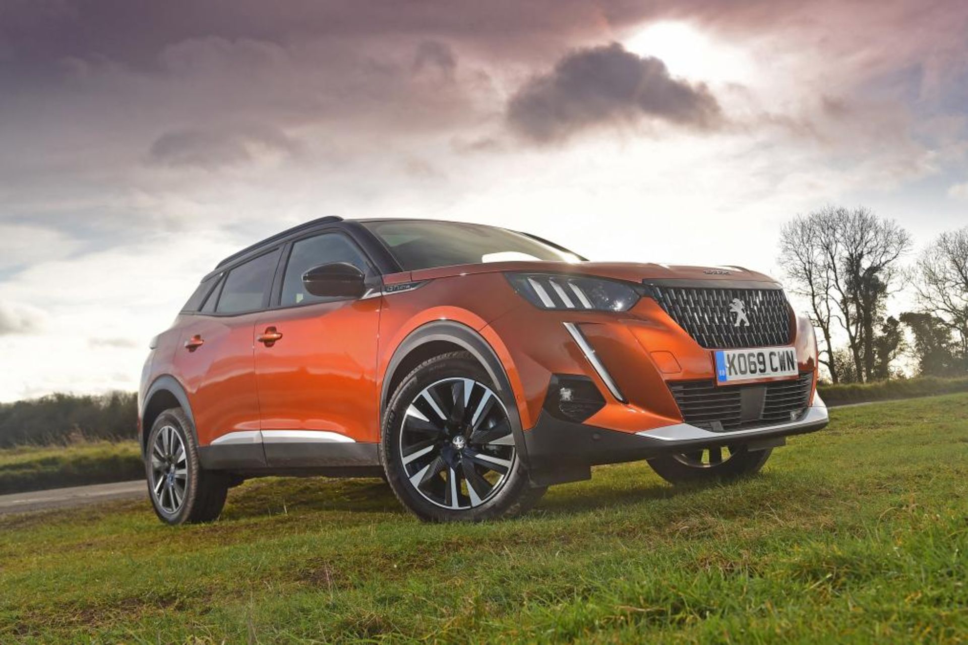 Peugeot 2008 2020 (5)