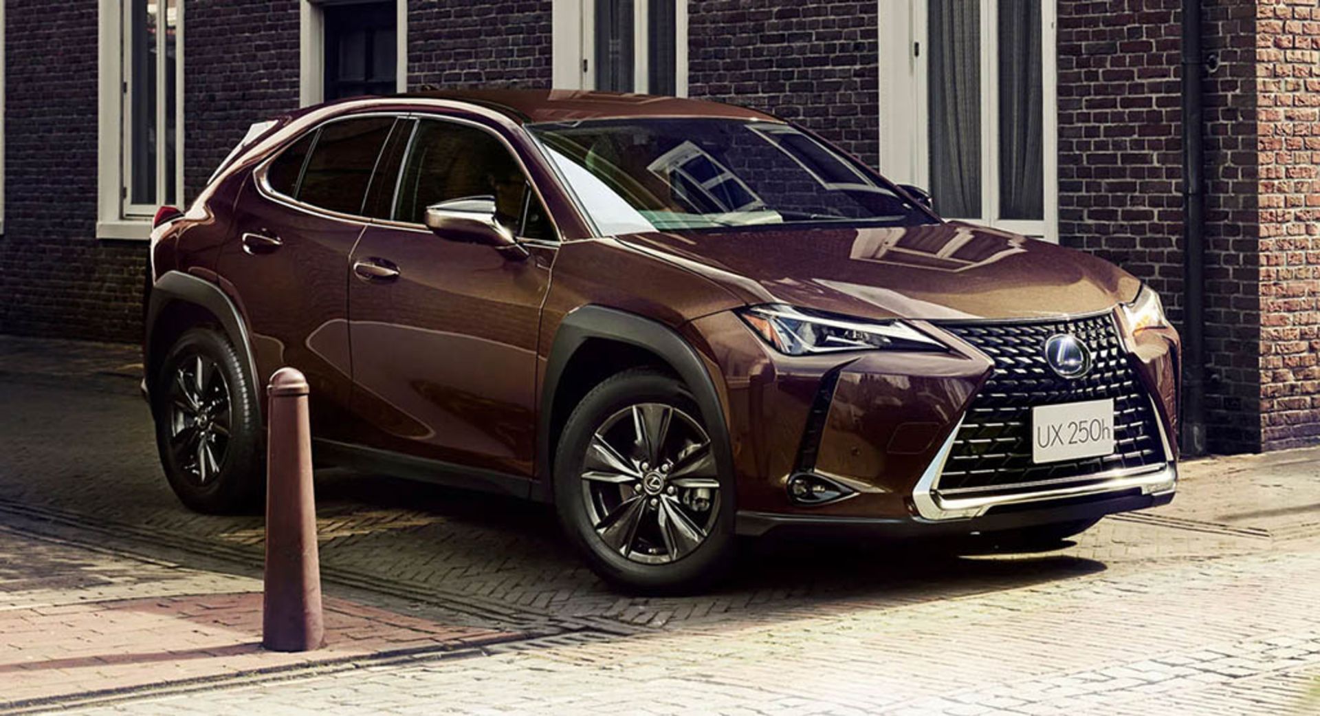 Lexus-UX250h-Brown-Edition