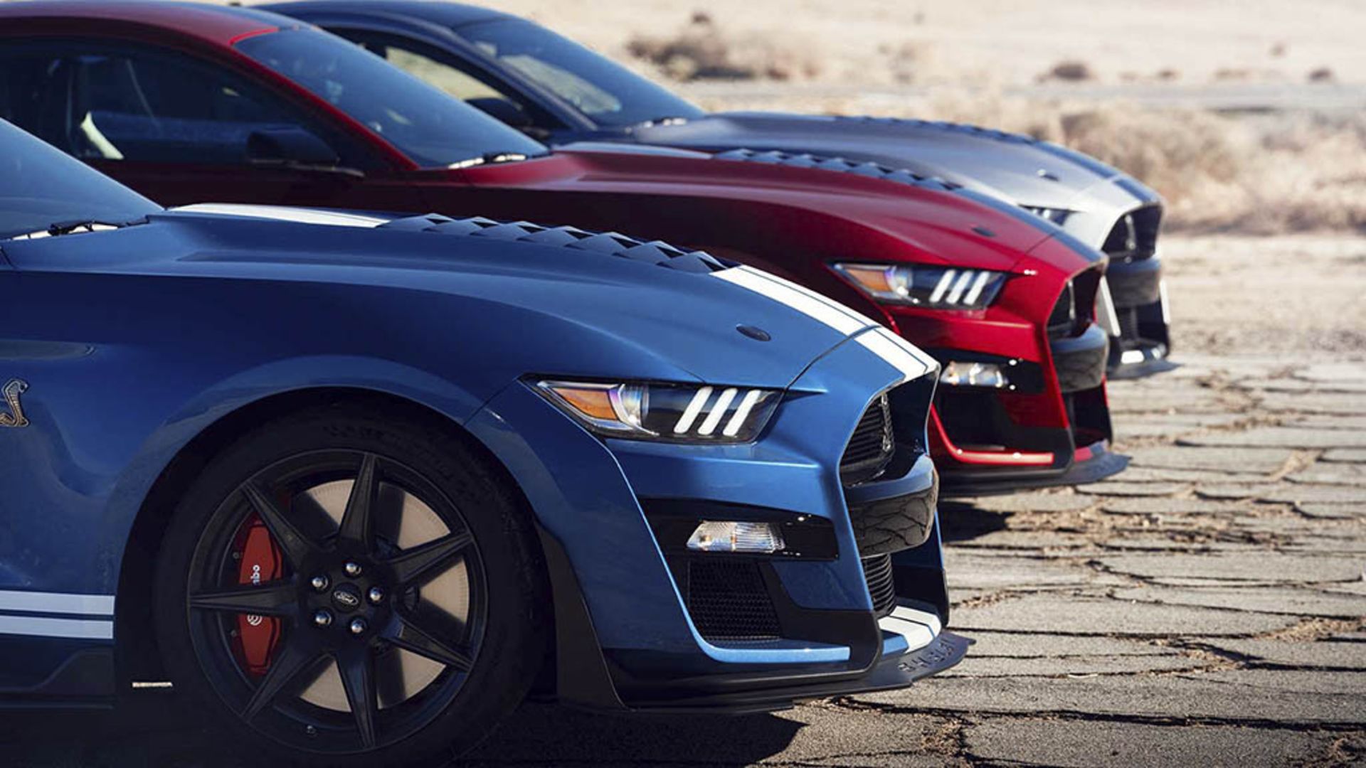 2020-ford-shelby-gt500 11