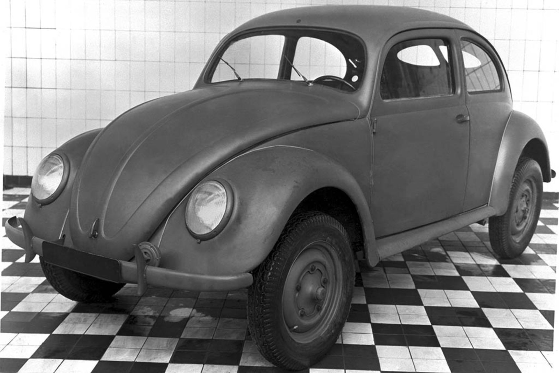 Beetle 1