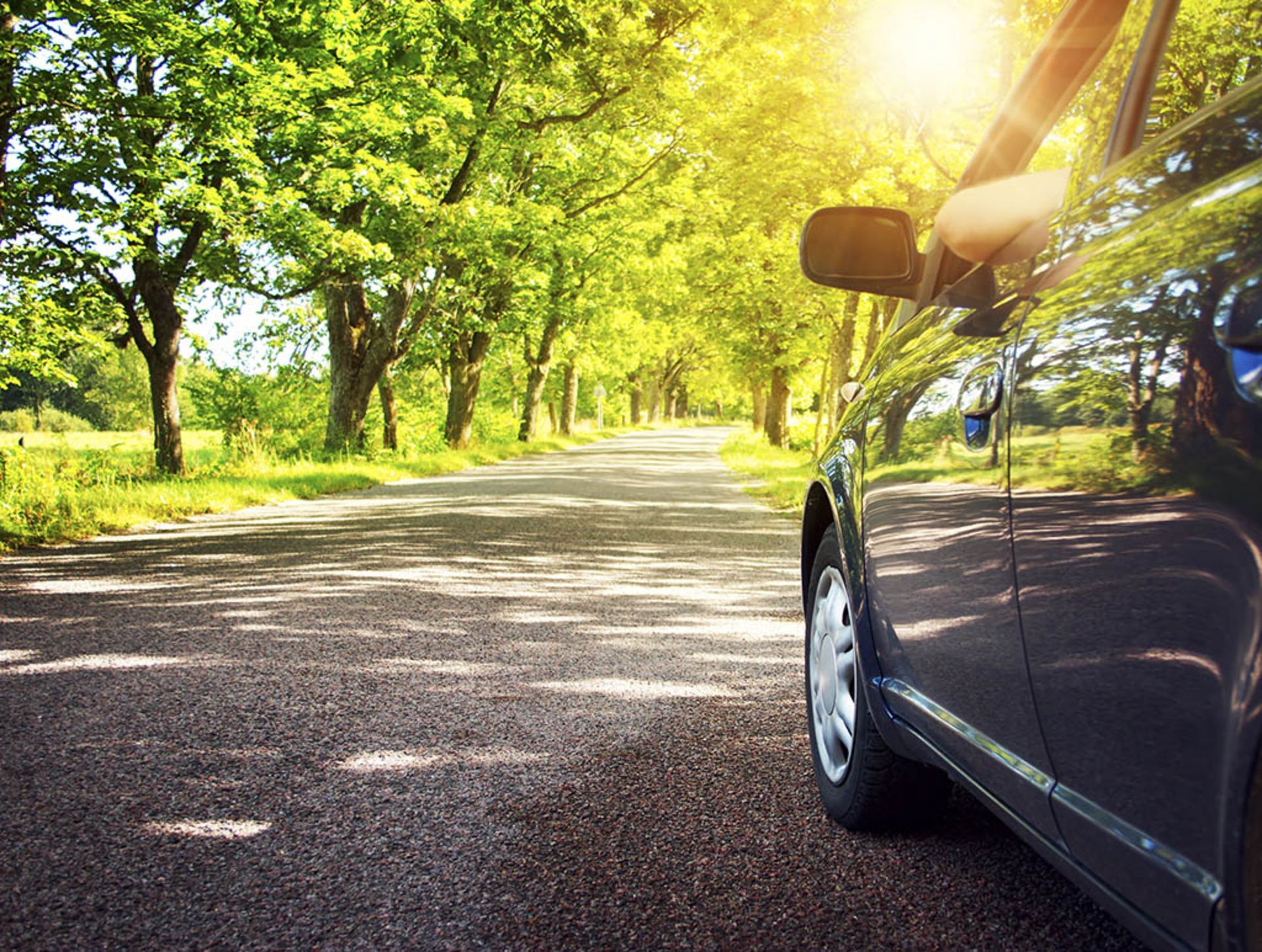 Car on asphalt road in summer