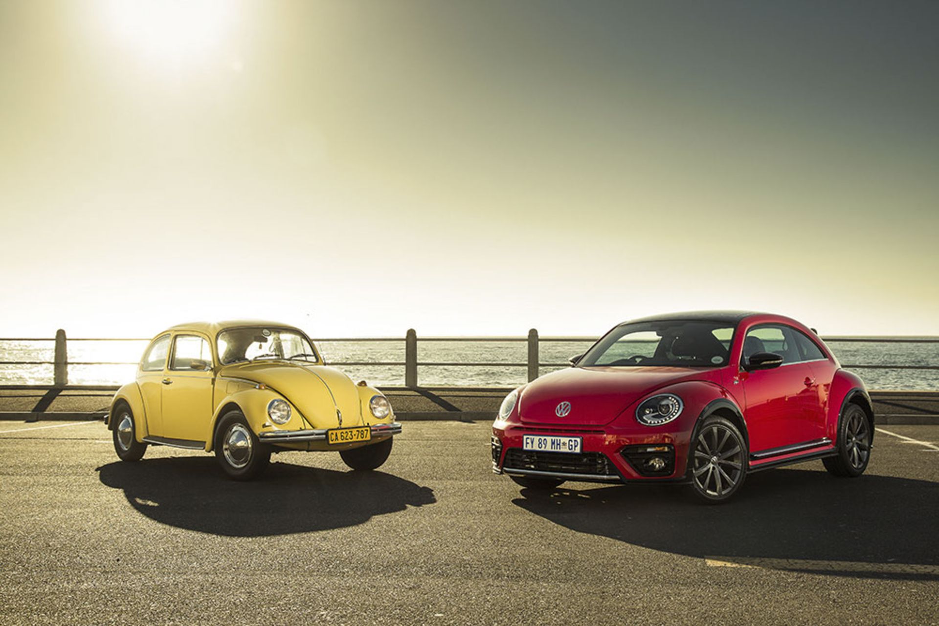 vw-beetle-01