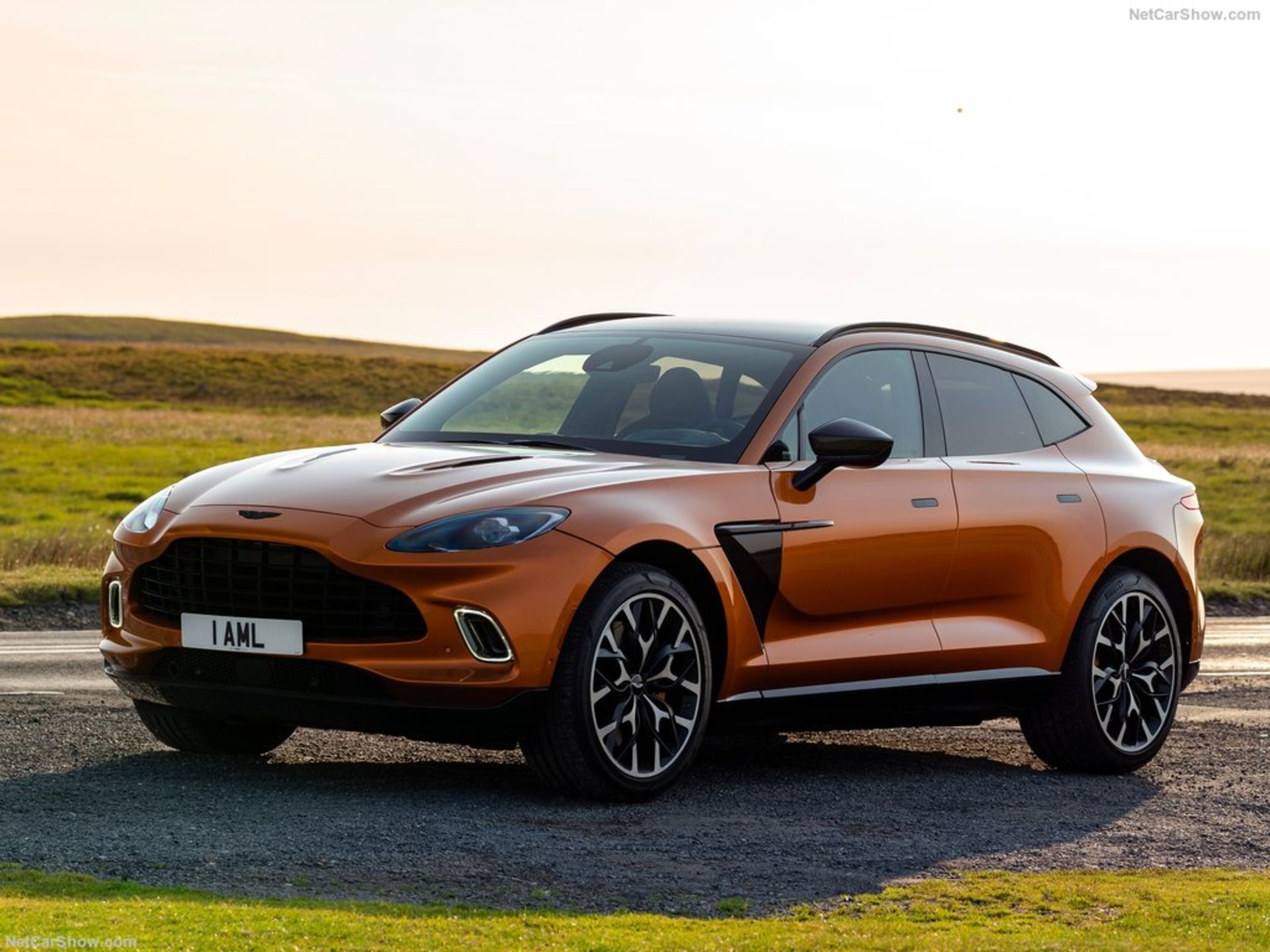 Aston_Martin-DBX_Golden_Saffron-2021-1024-04