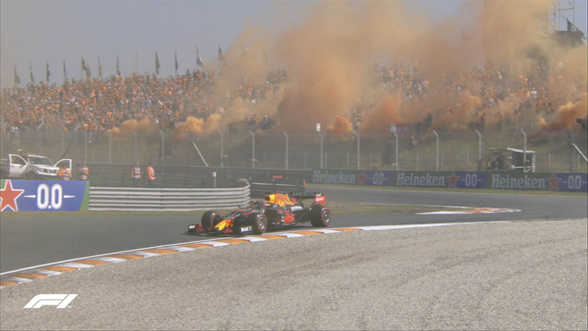 netherlands F1 (1)