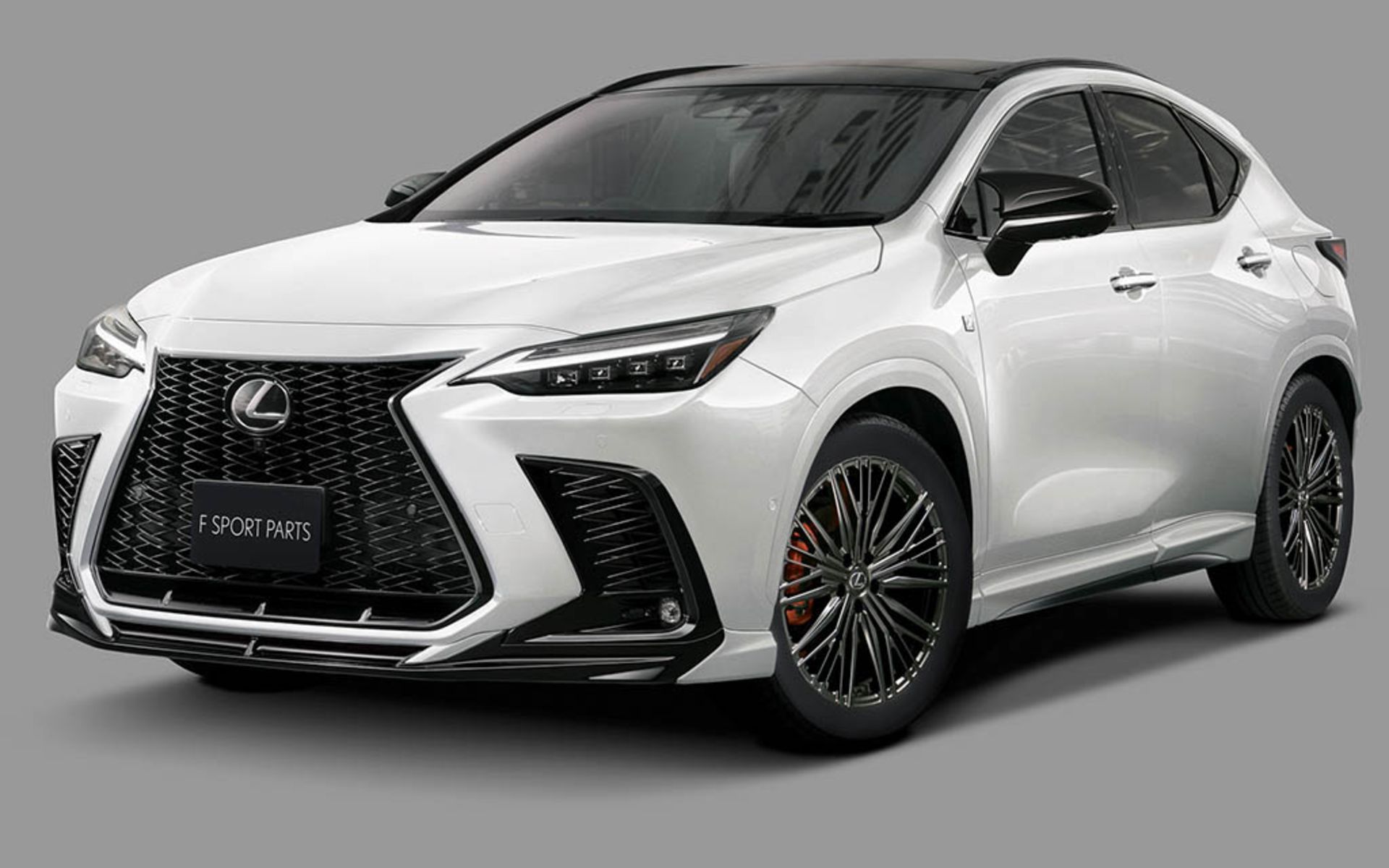 Lexus-NX-TRD-1