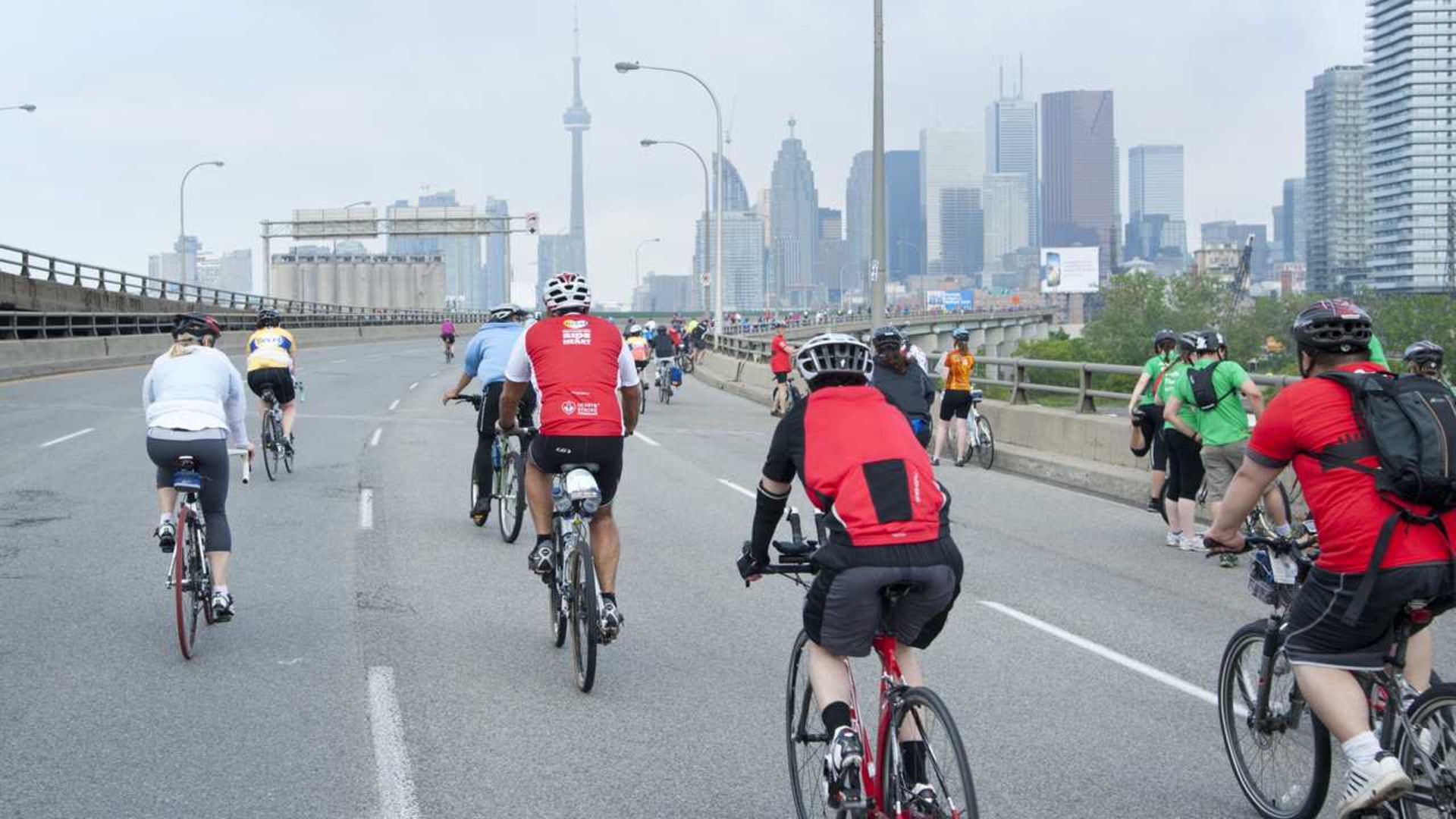 bicycles-on-a-highway