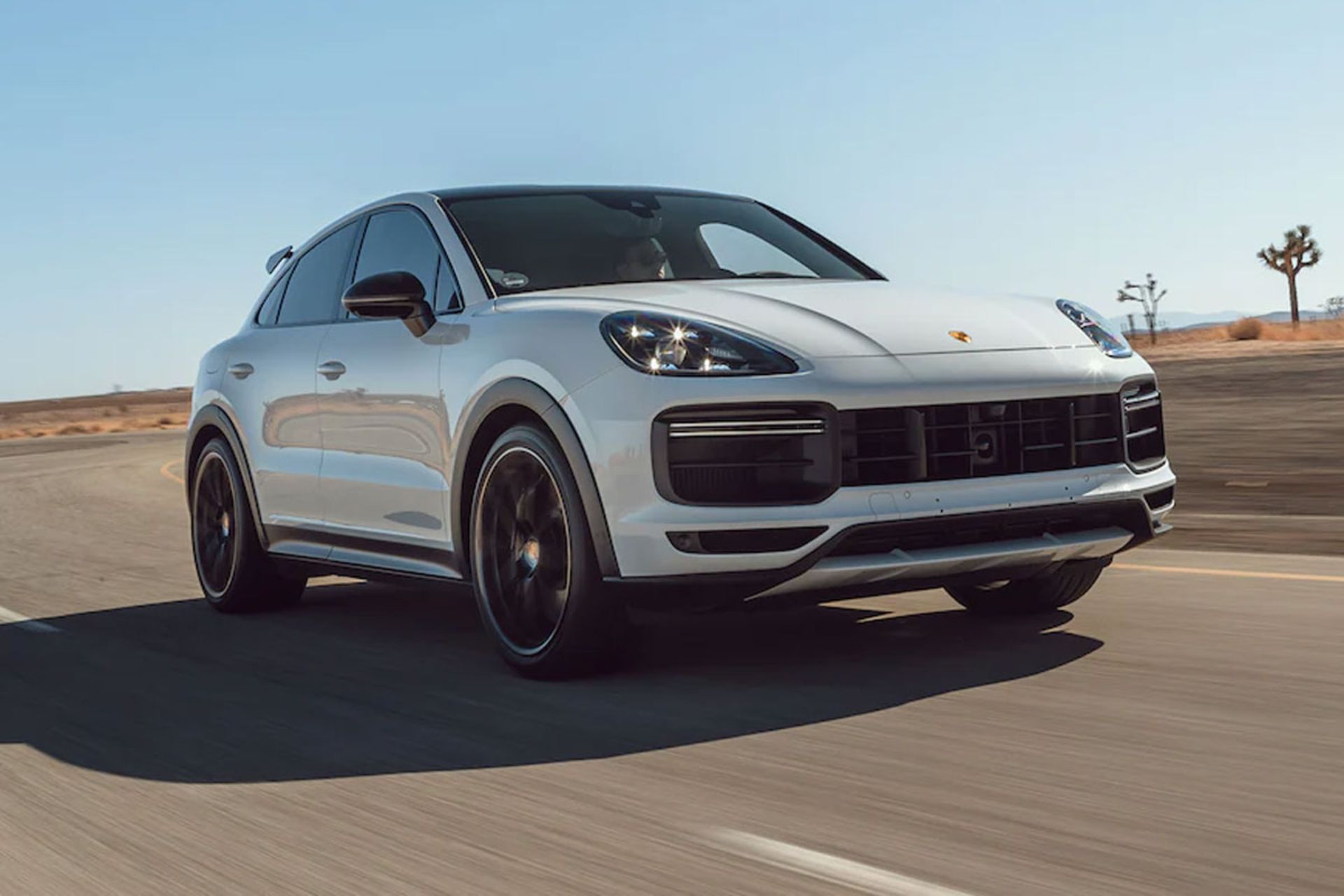 Cayenne