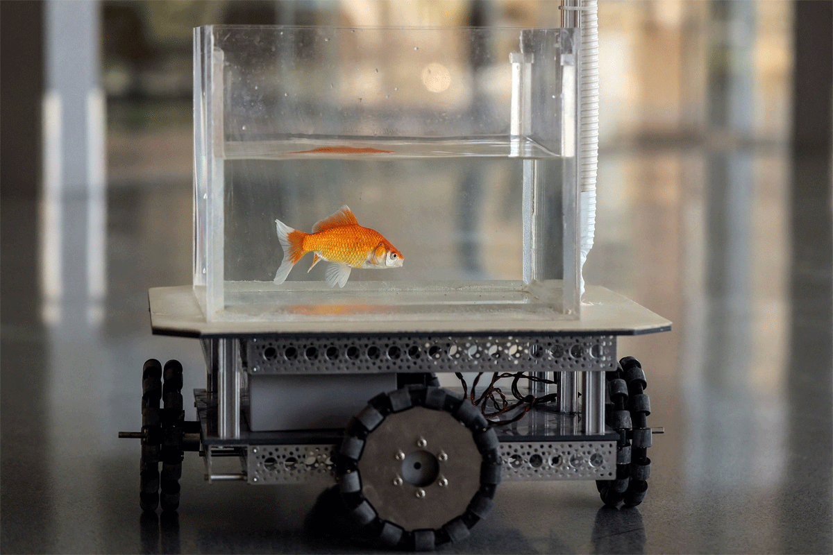 Drive-1