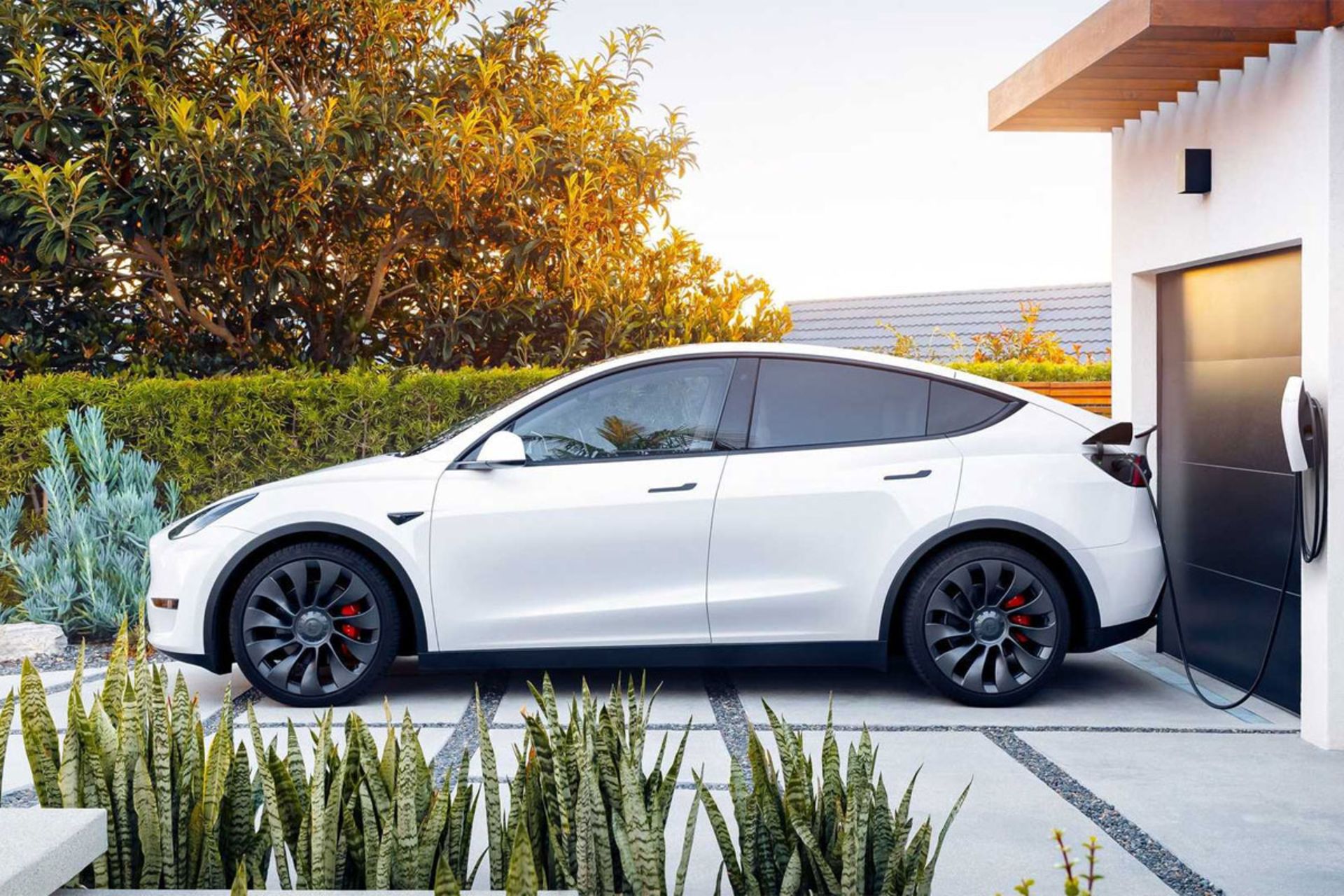 Tesla-1
