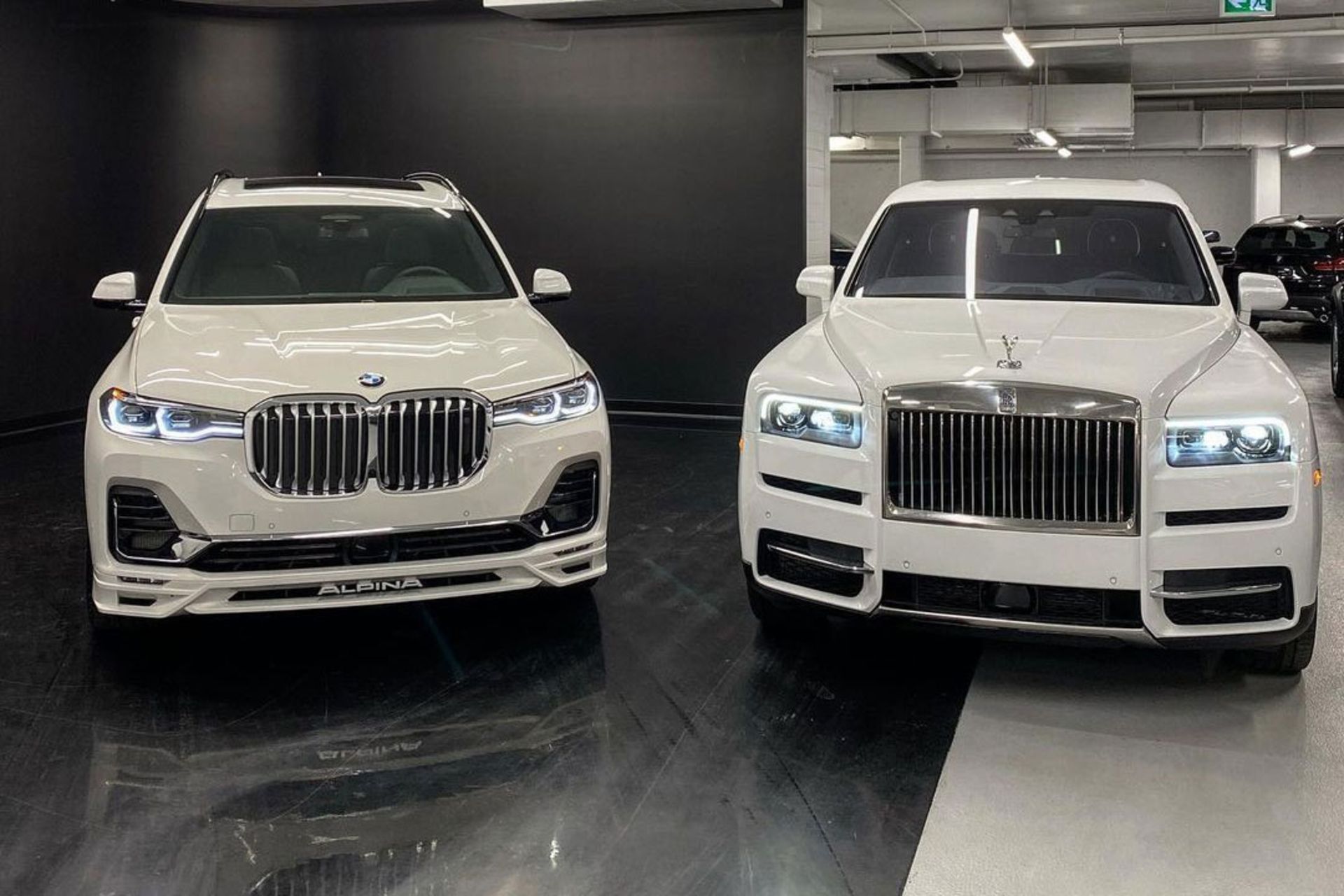Alpina-3