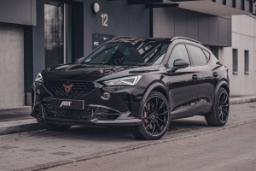Cupra-1