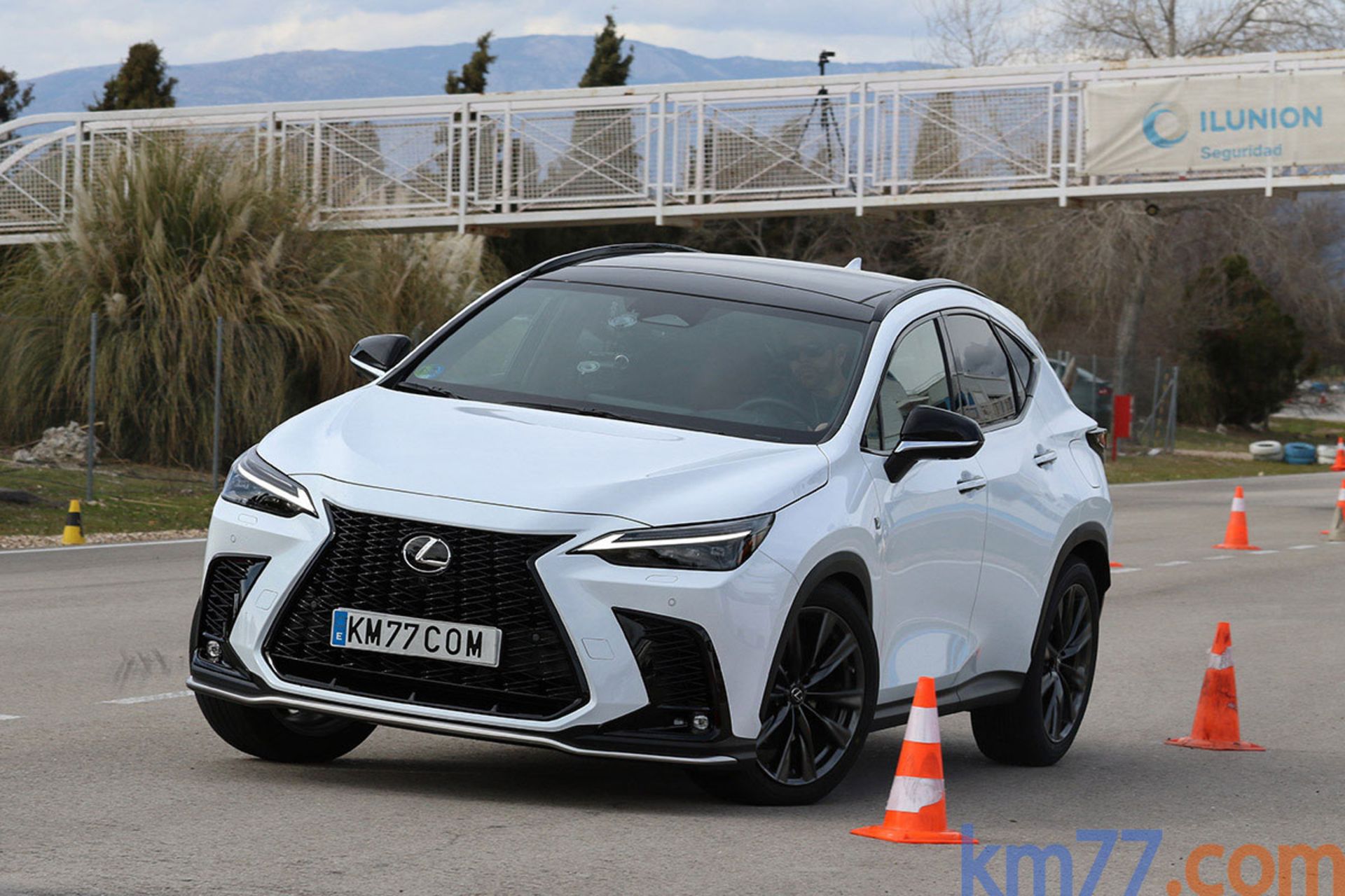 Lexus-NX-1