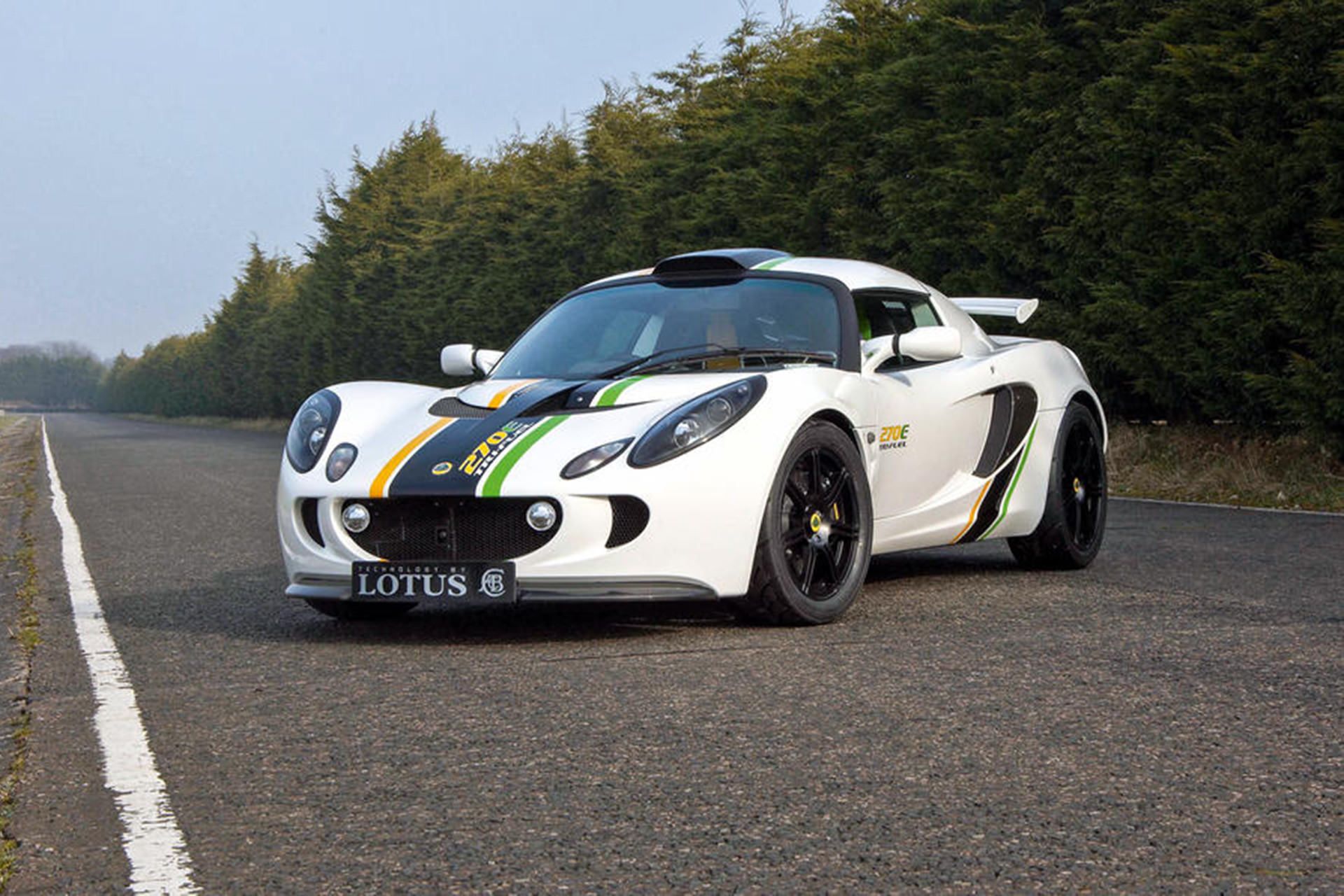 lotus