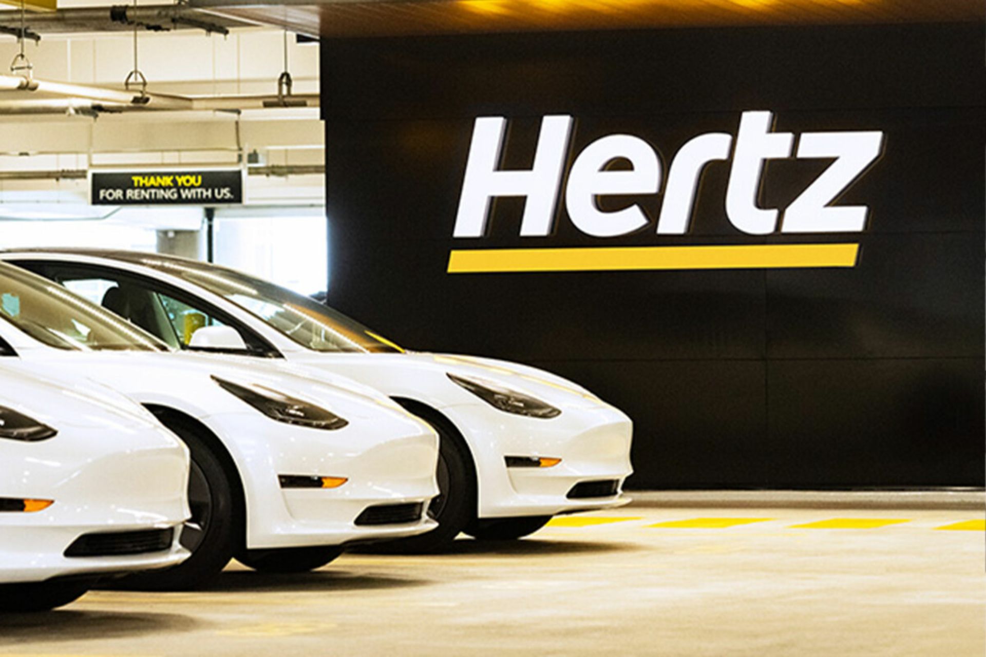 tesla hertz