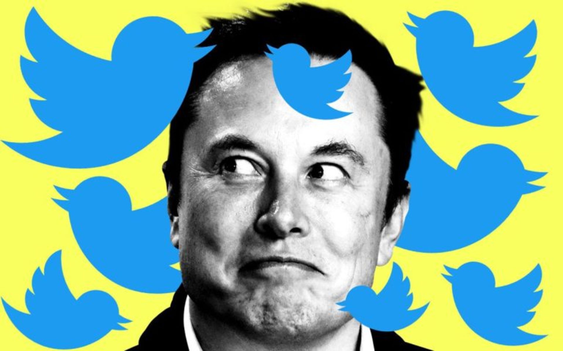 Elon-2-767x479
