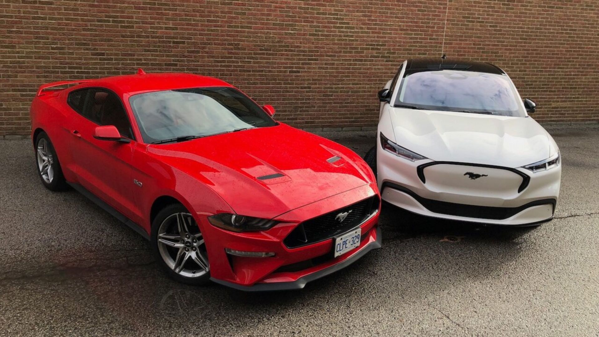 rsz_mach-e-vs-gt-foreground-scaled
