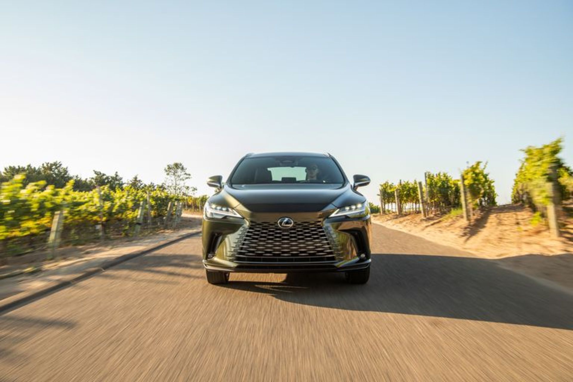 2023-lexus-rx350h-awd-101-