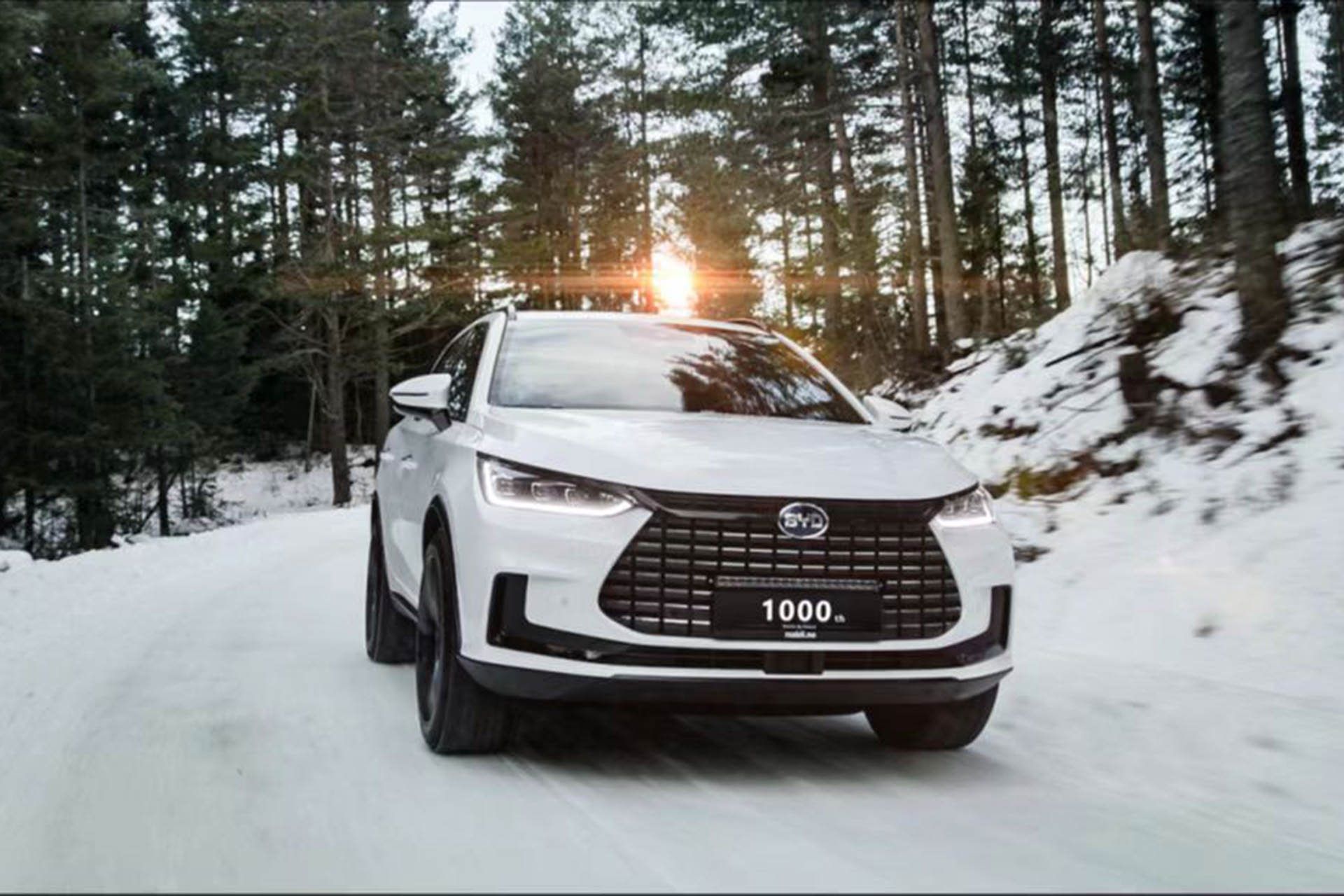 BYD Tang