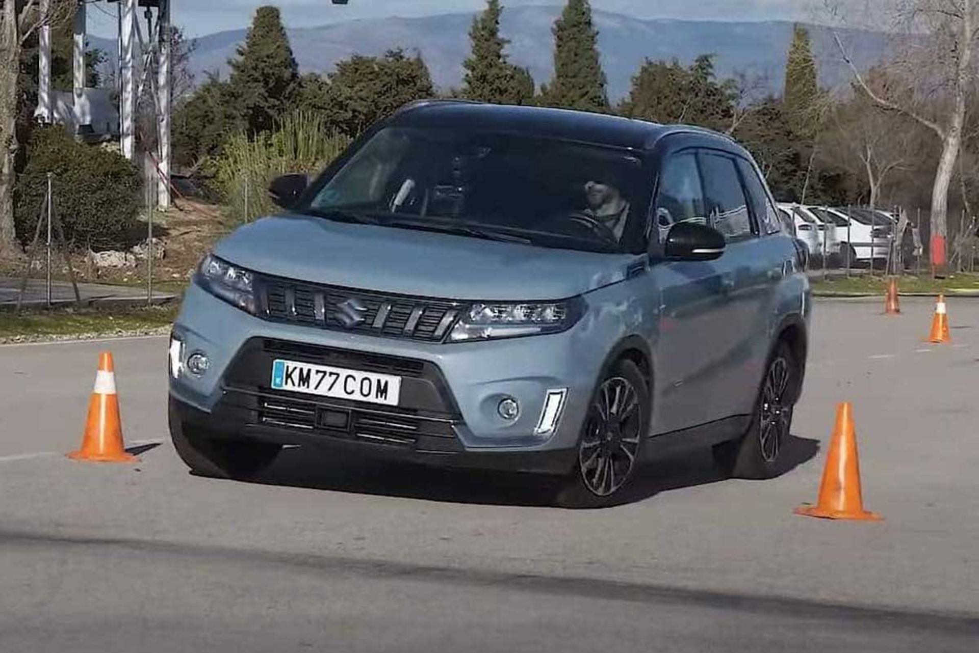 Suzuki-1