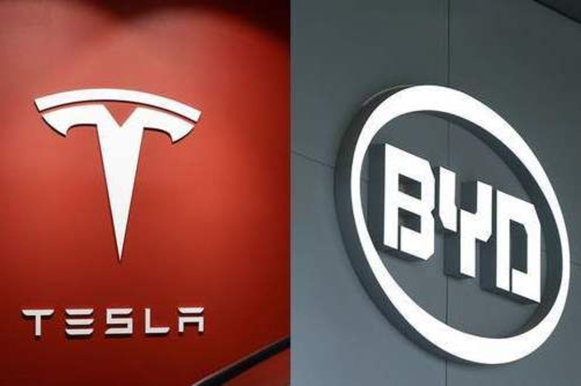 byd tesla