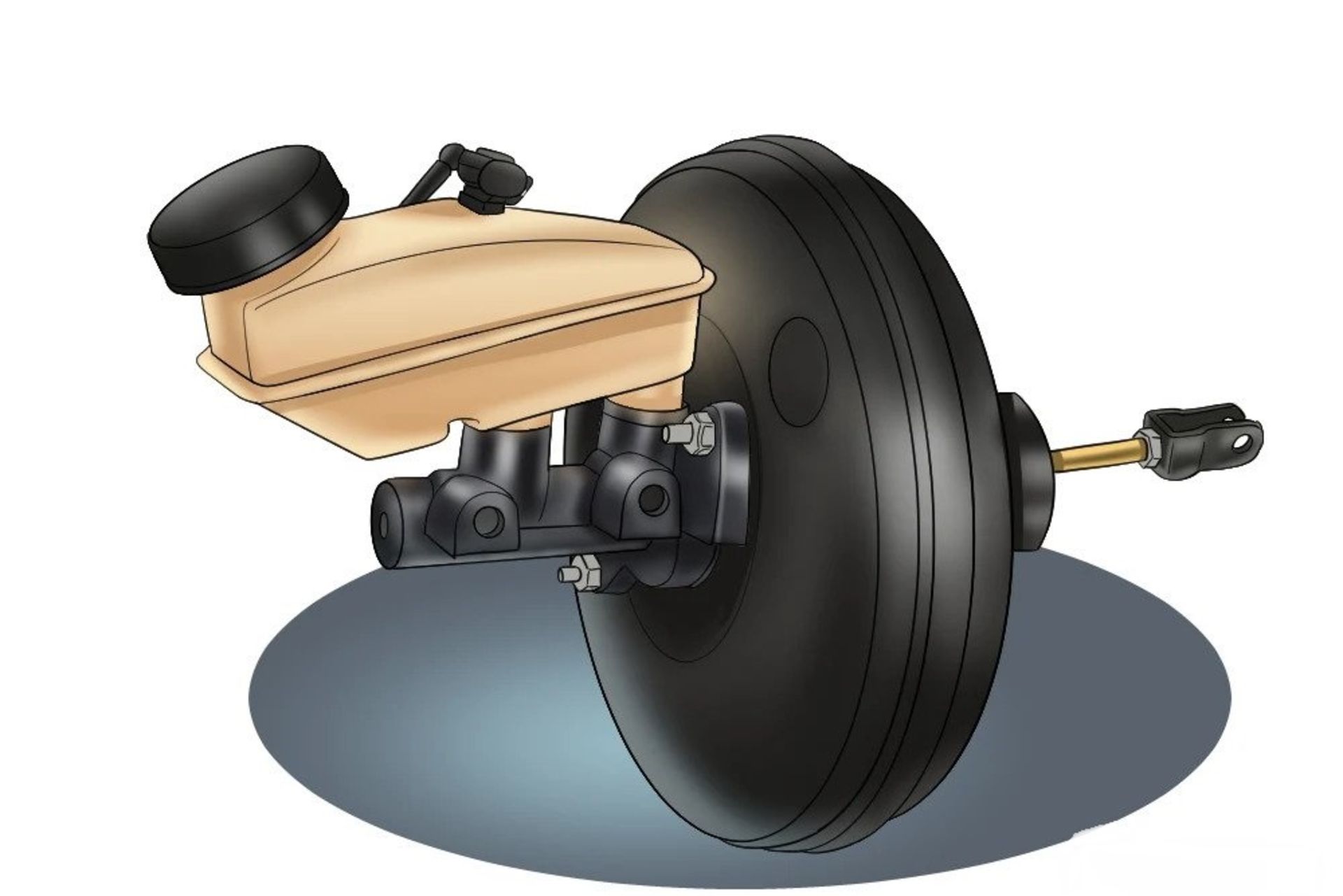 ezgif.com-webp-to-jpg (1)