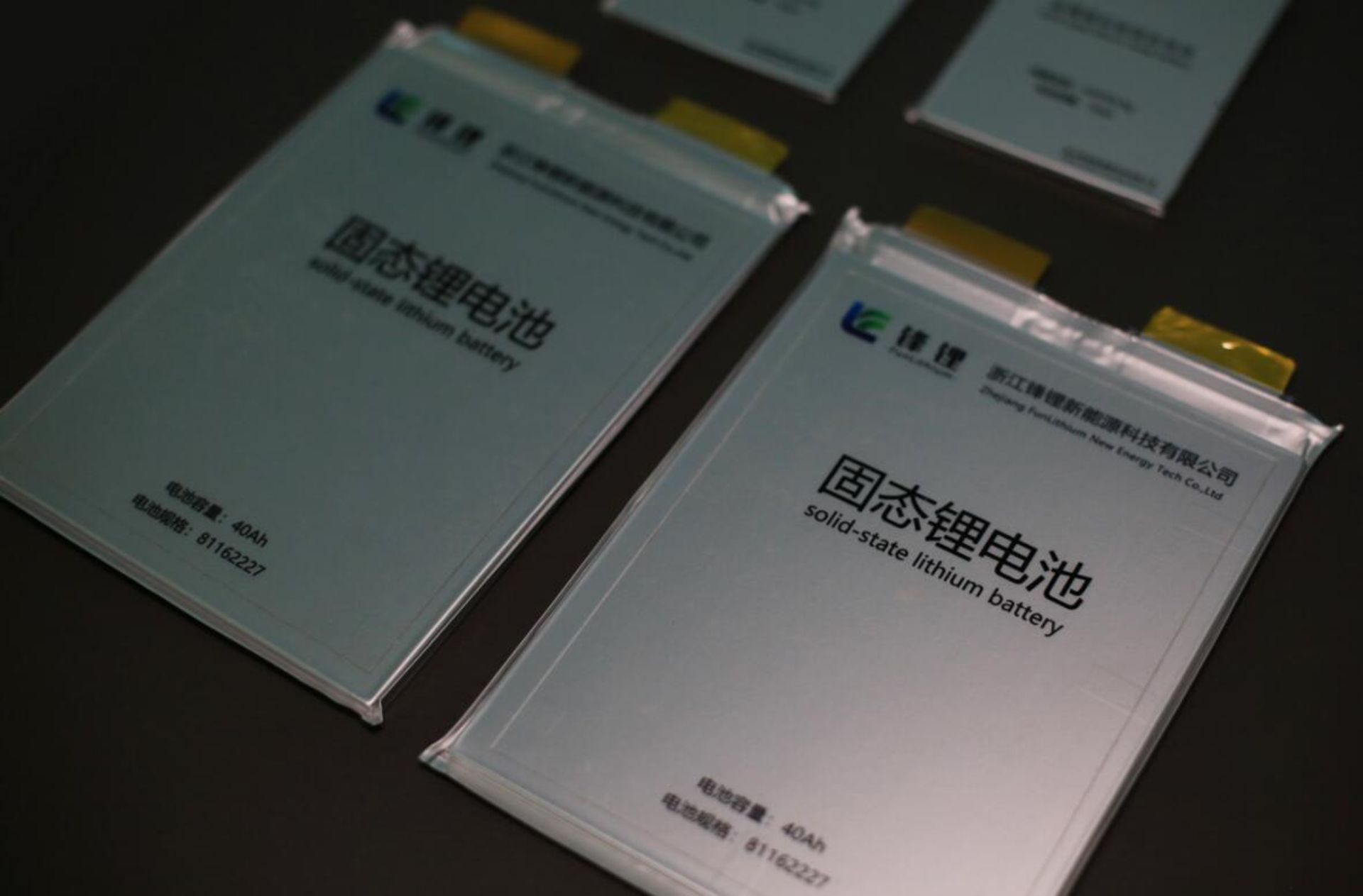 Ganfeng Lithium