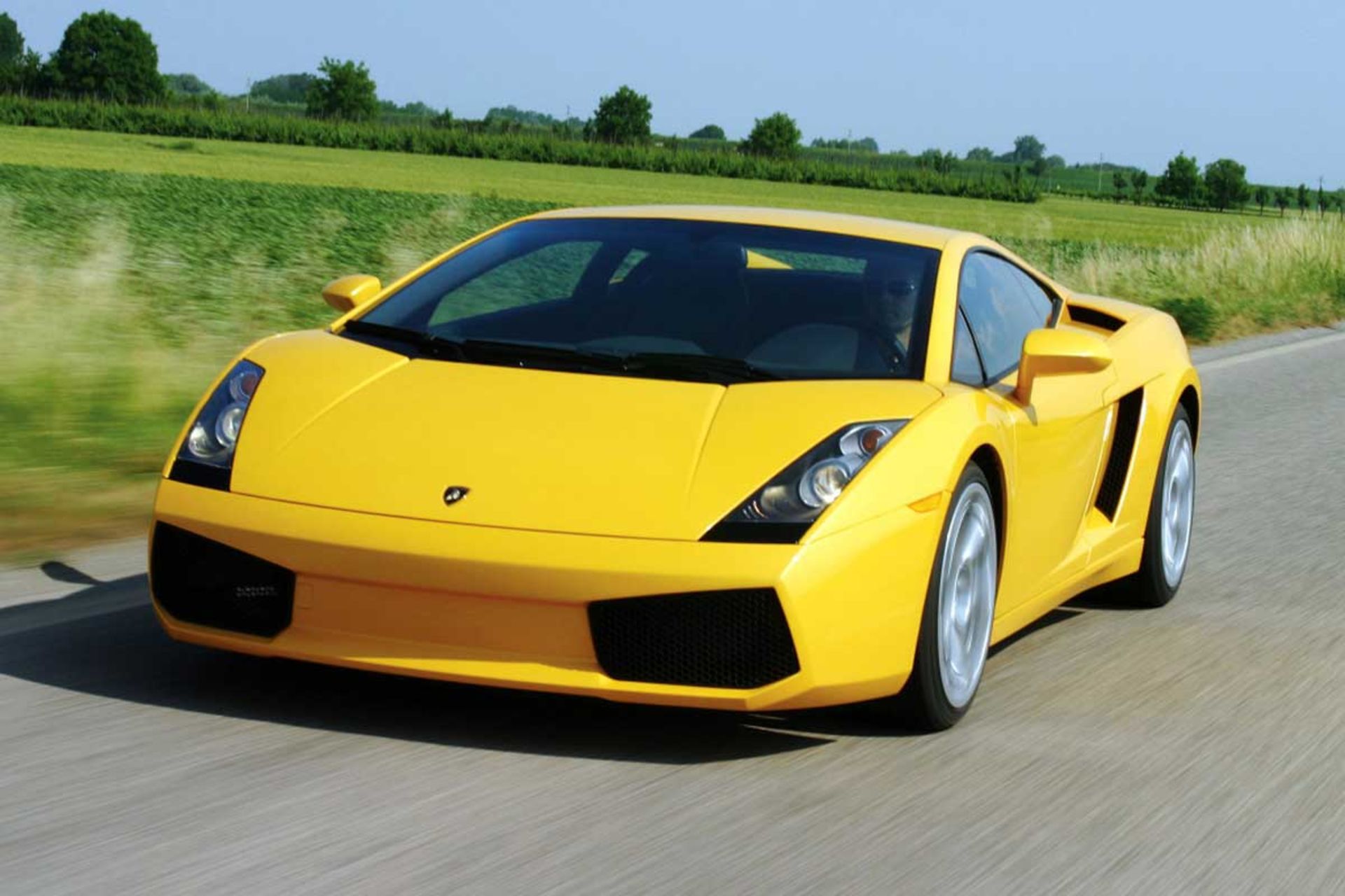 Gallardo-1