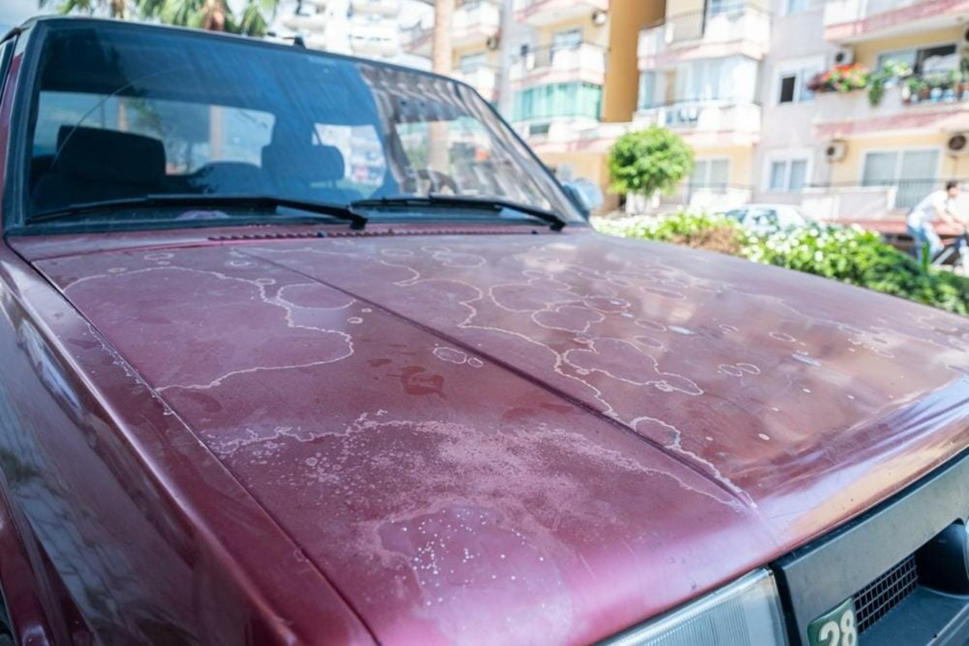 Old-car-paint-affected-by-the-soap-sun-and-hum