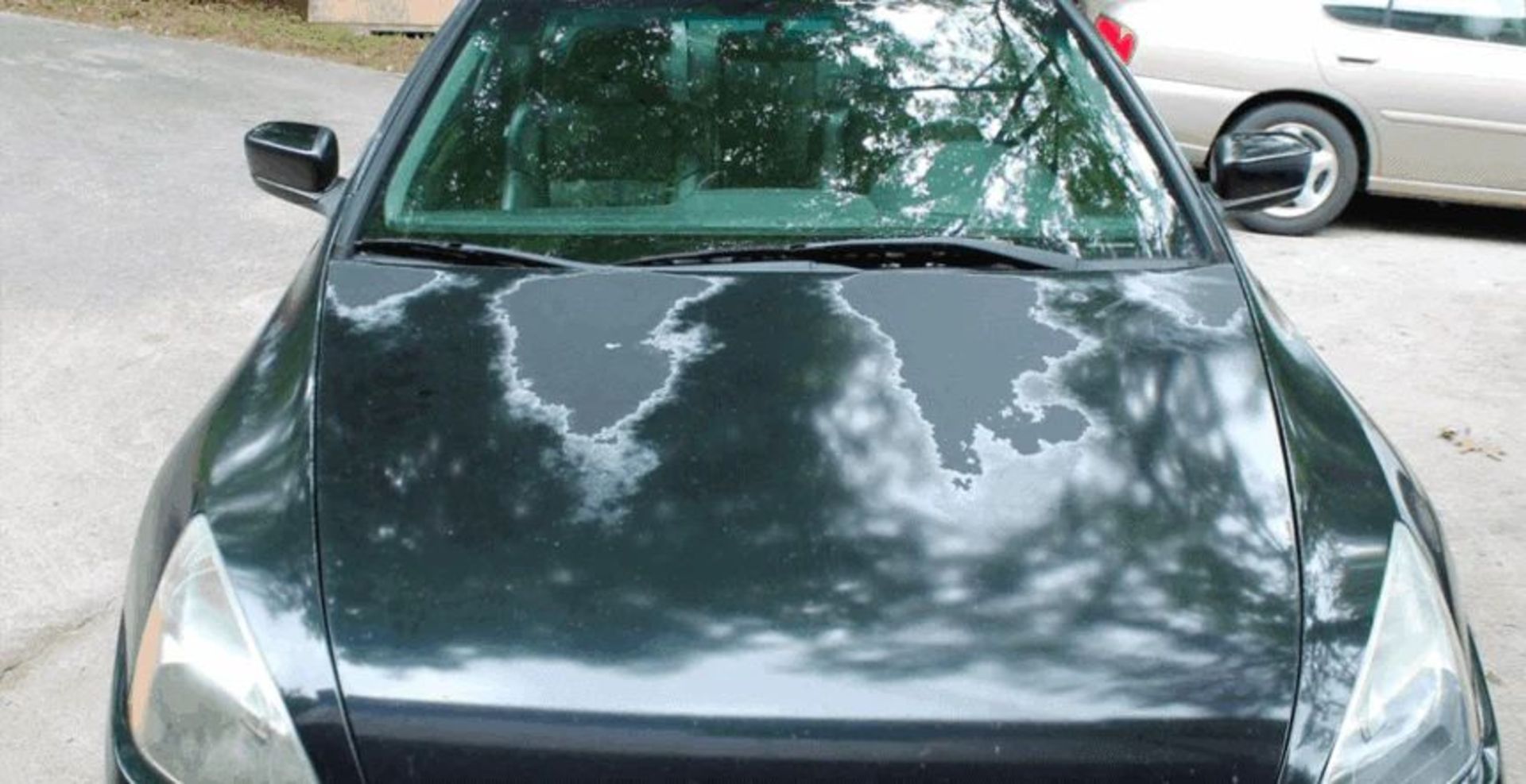 sun-damage-paint