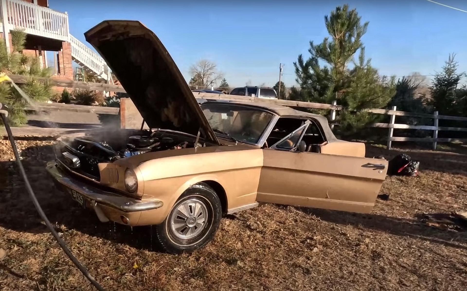 forgotten-1966-ford-mustang-gets-first-wash-in-44-years-becomes-beautiful-survivor_5
