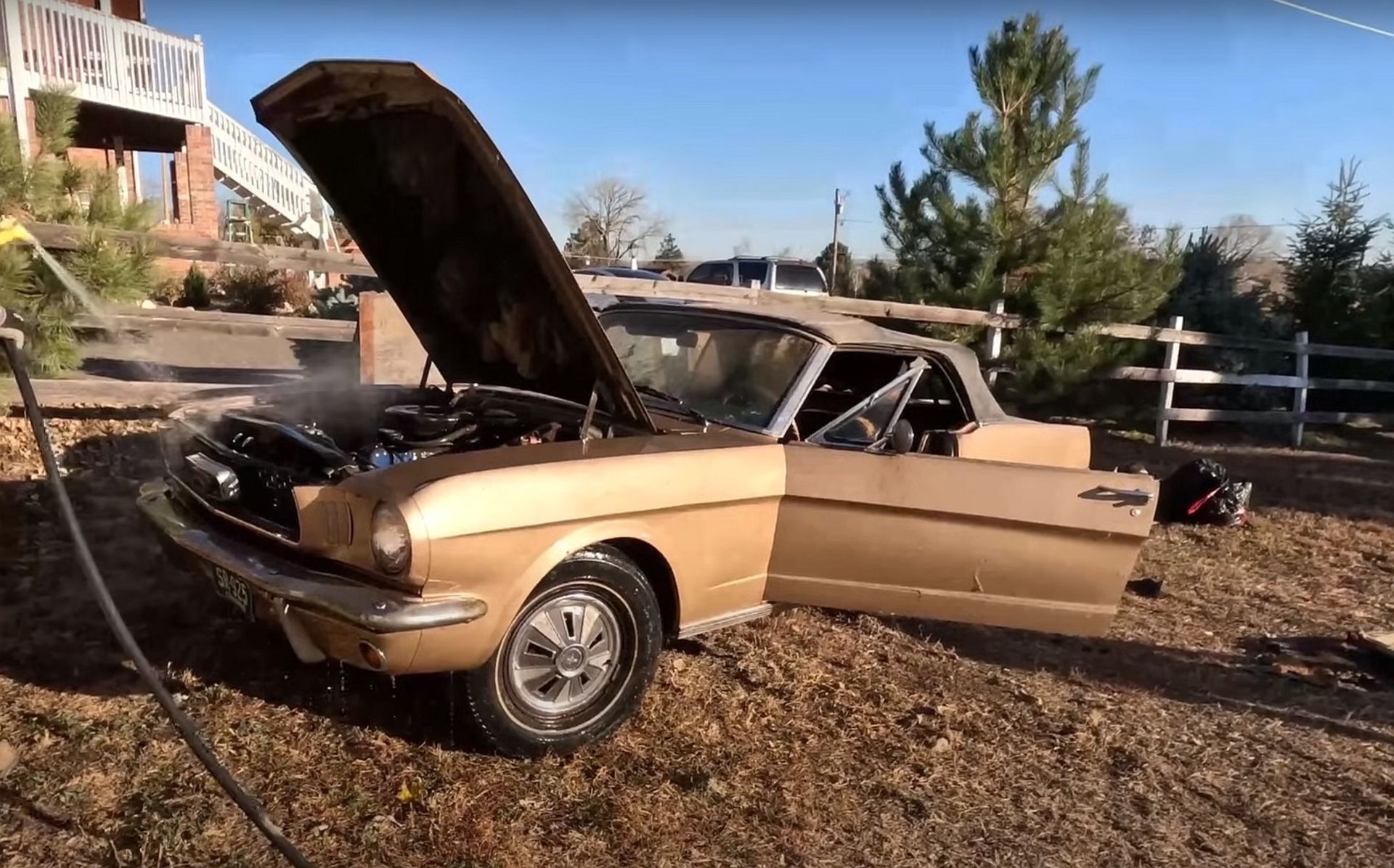 forgotten-1966-ford-mustang-gets-first-wash-in-44-years-becomes-beautiful-survivor_5