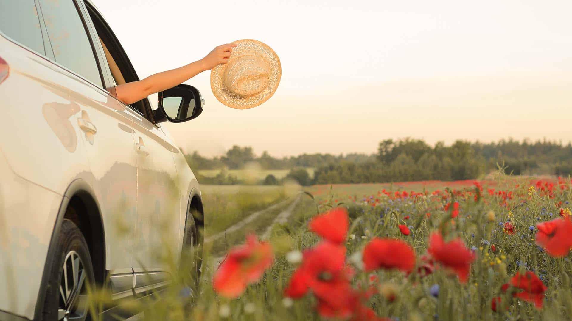 Car-In-Spring