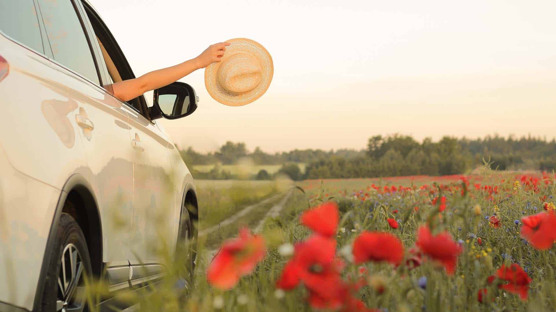 Car-In-Spring