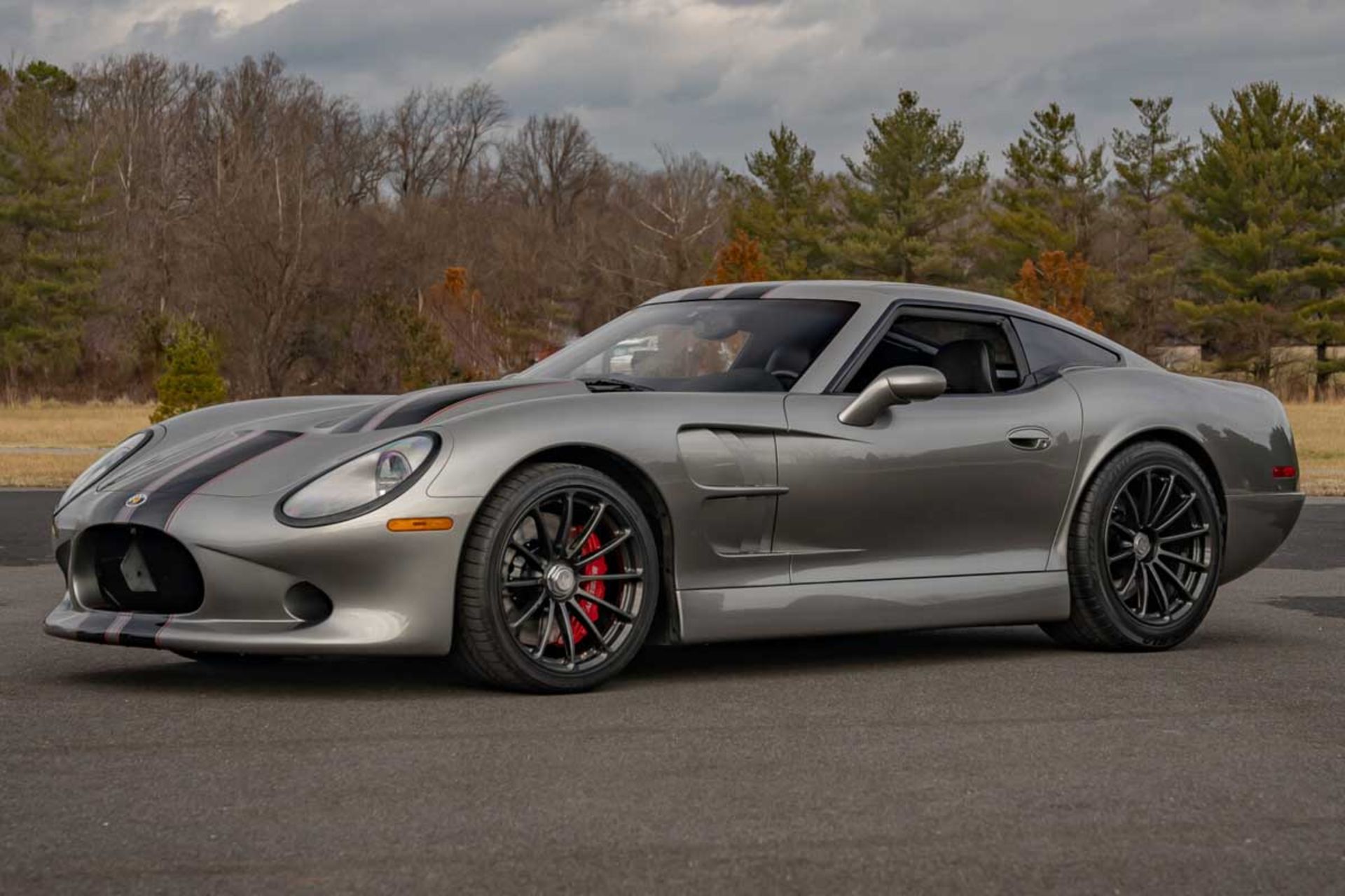 Shelby-1