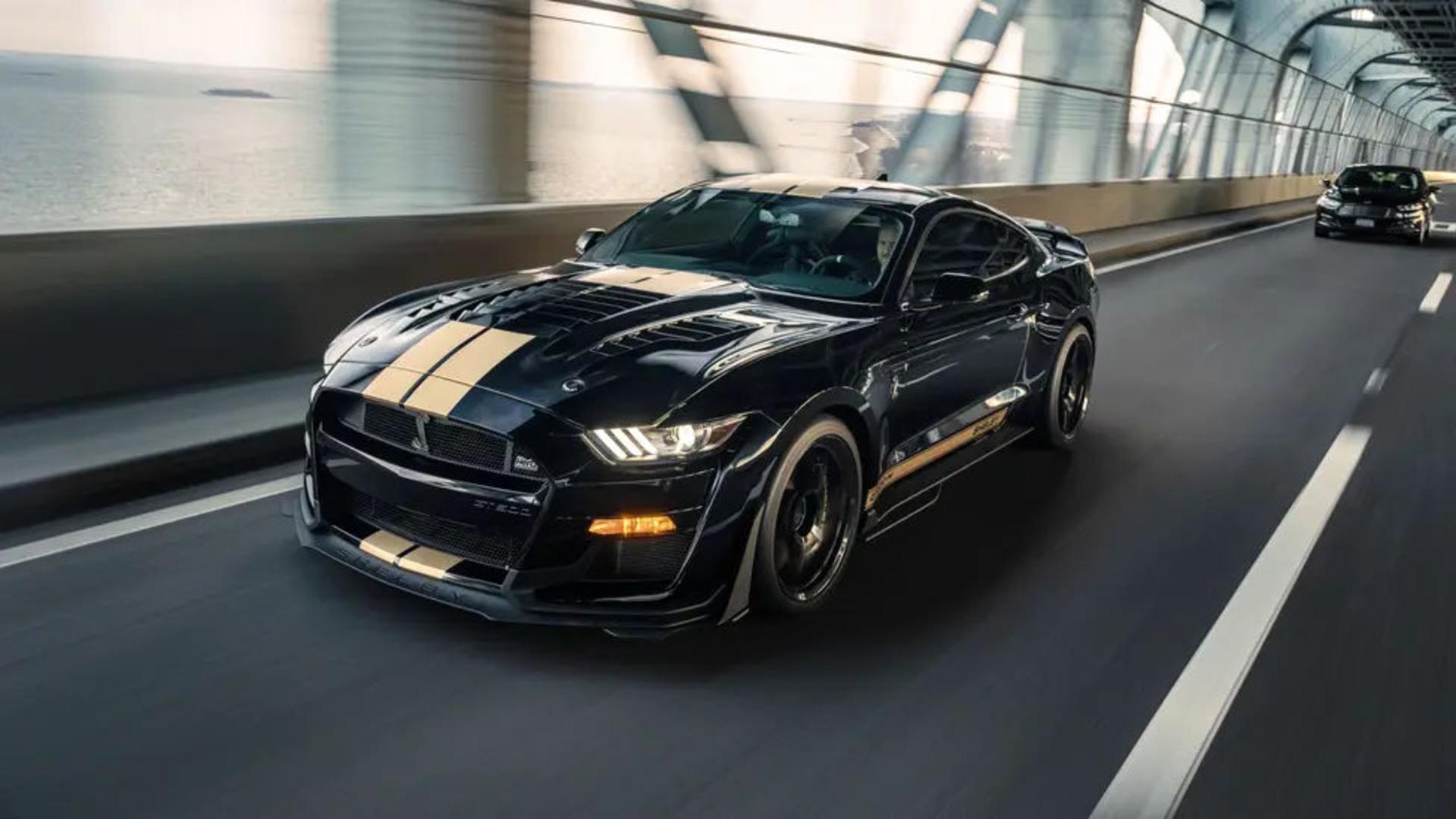 Shelby-TG-NYC-DWBurnett-2_103