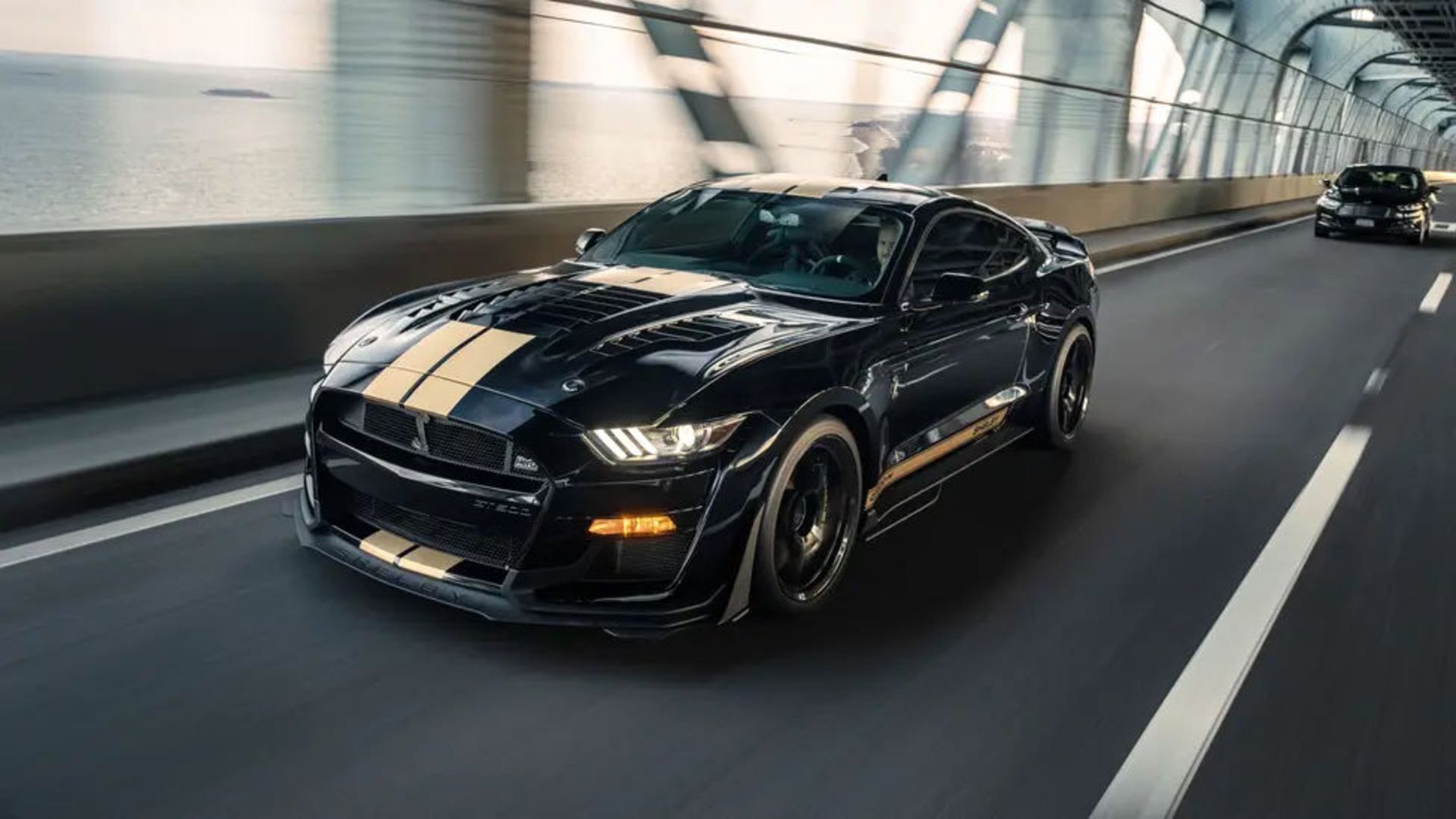 Shelby-TG-NYC-DWBurnett-2_103