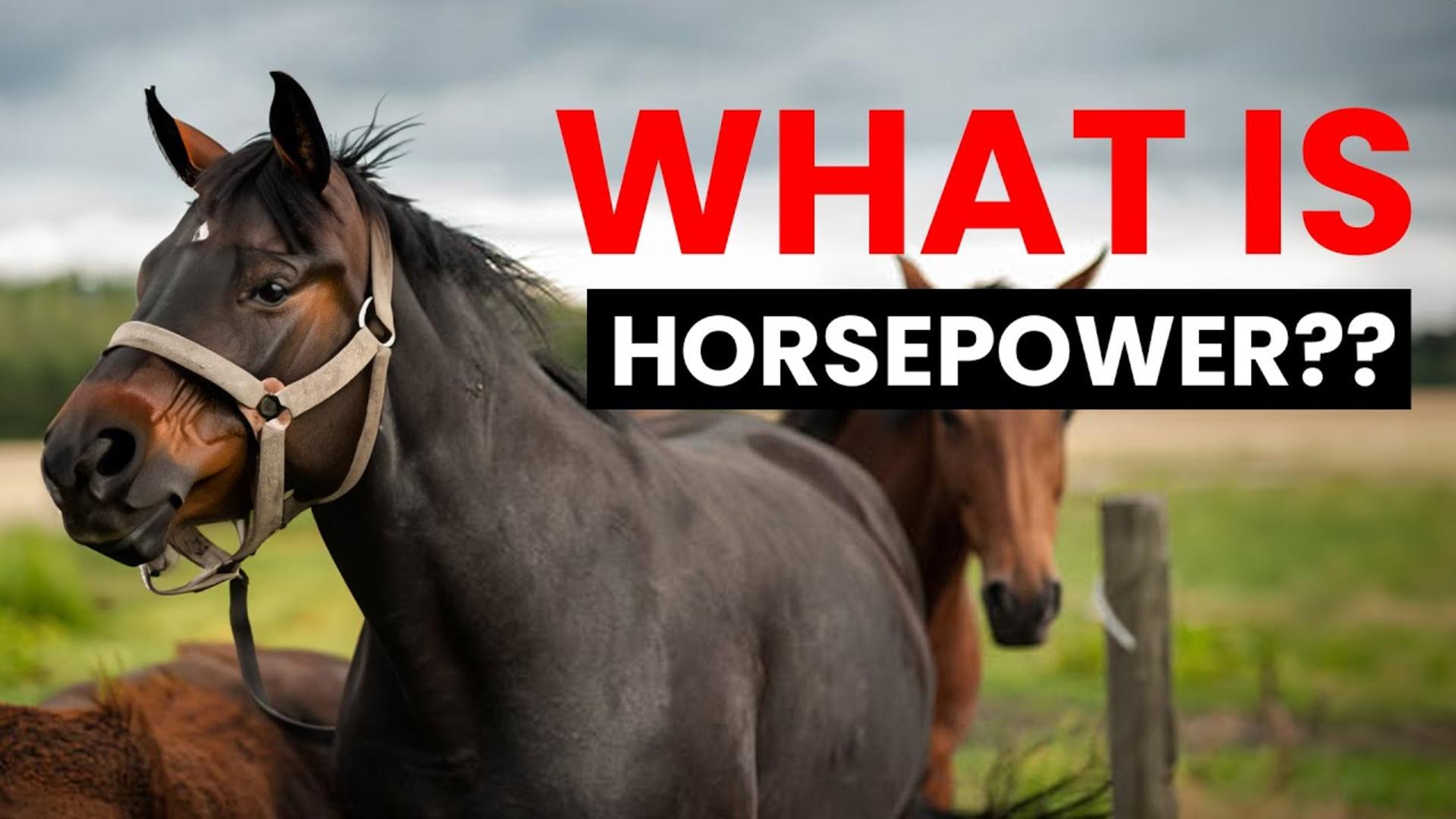 horsepower