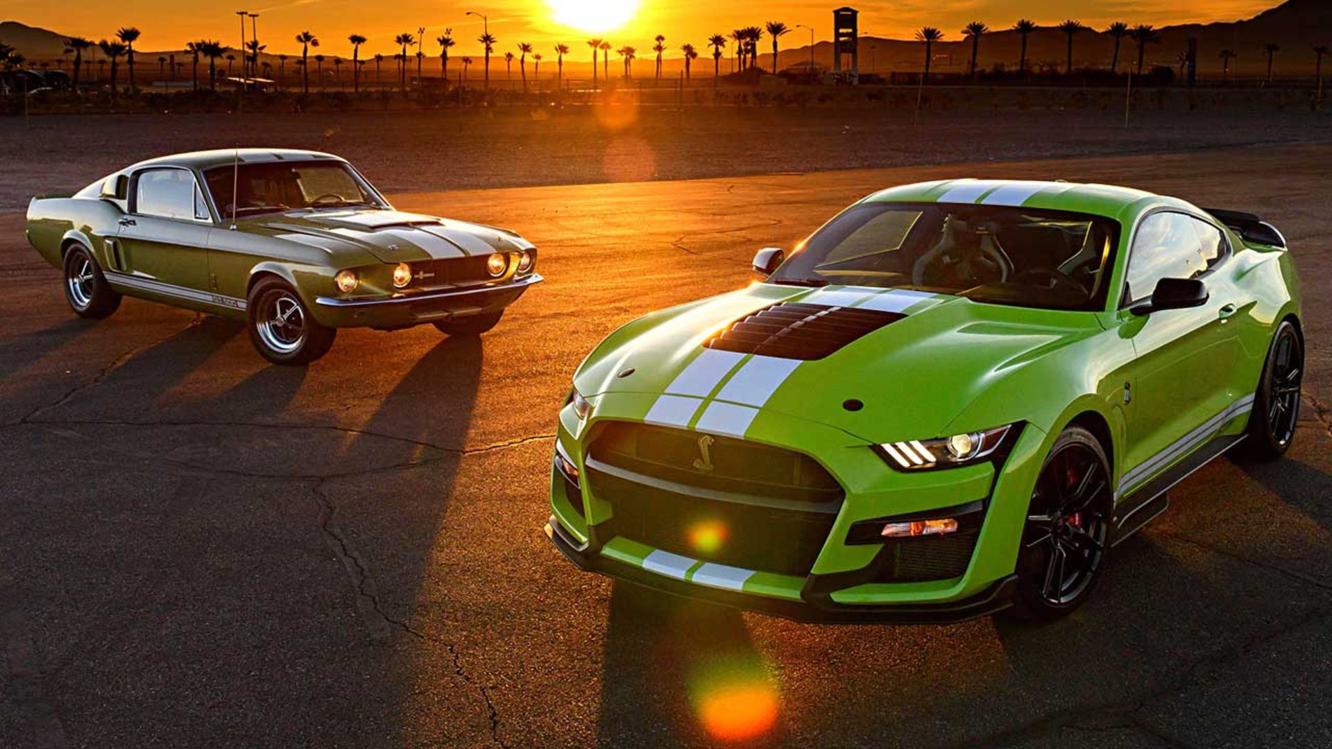 Mustang-Shelby-6