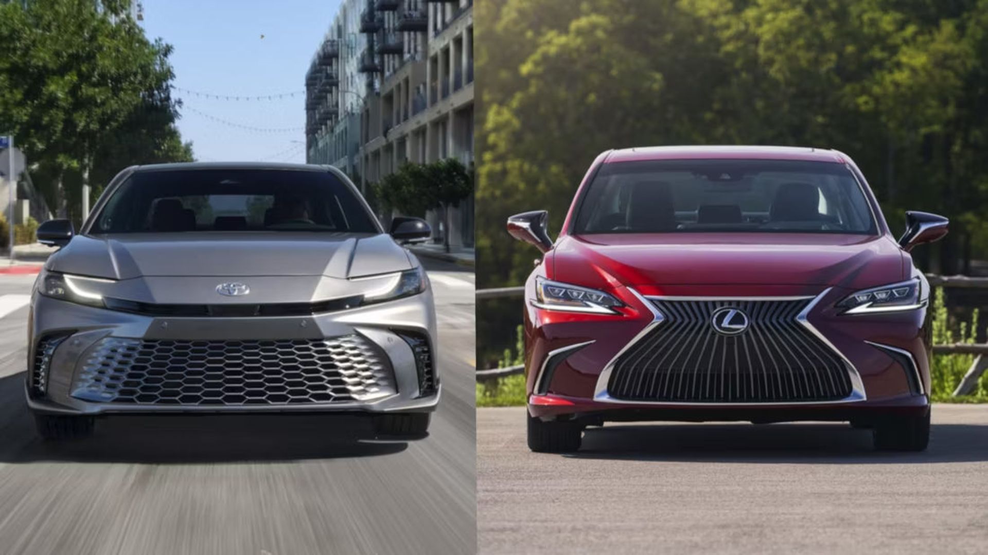 toyota-camry-lexus-es