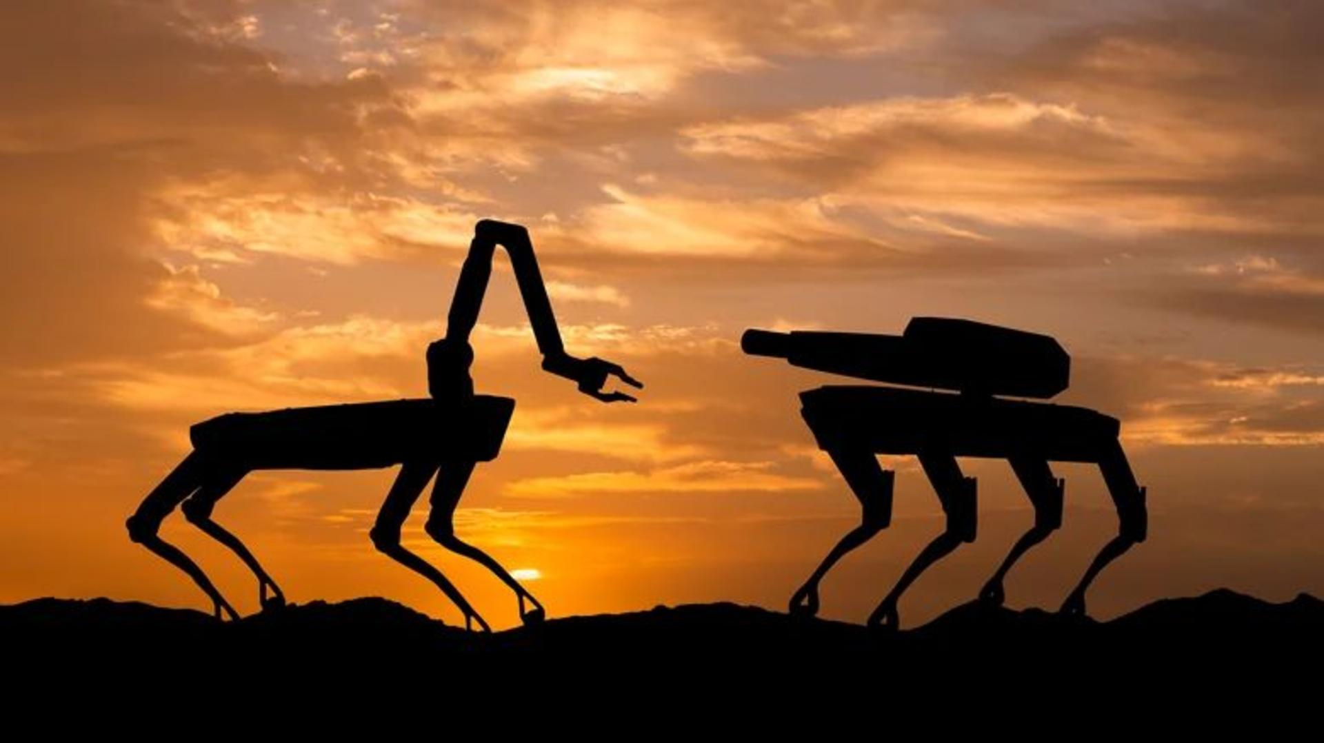 MILITARY ROBOTS