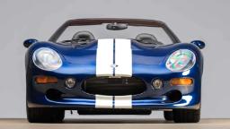 Shelby-9