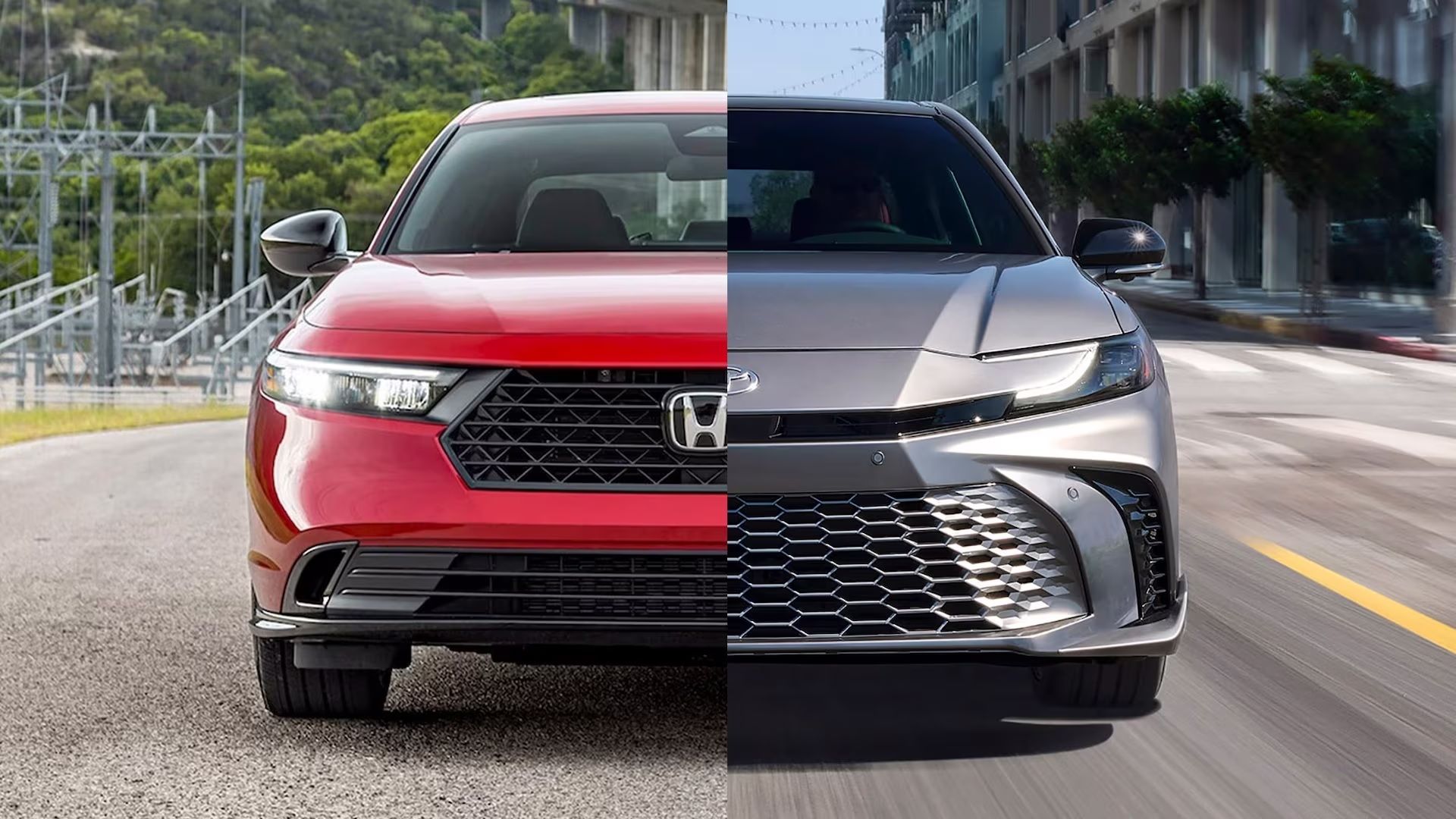 accord camry